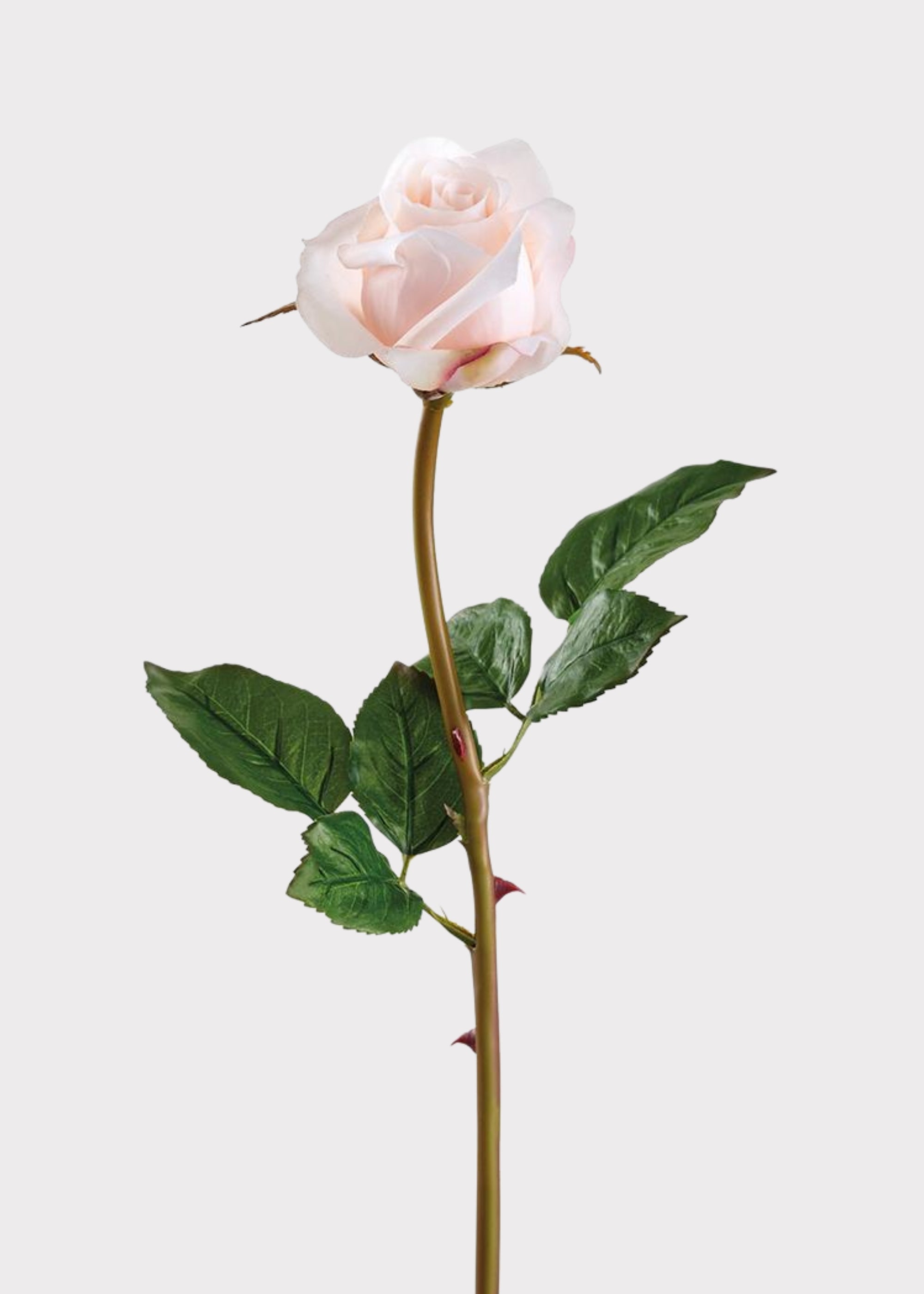 Pink Real Touch Artificial Rose Stem for Vase Styling