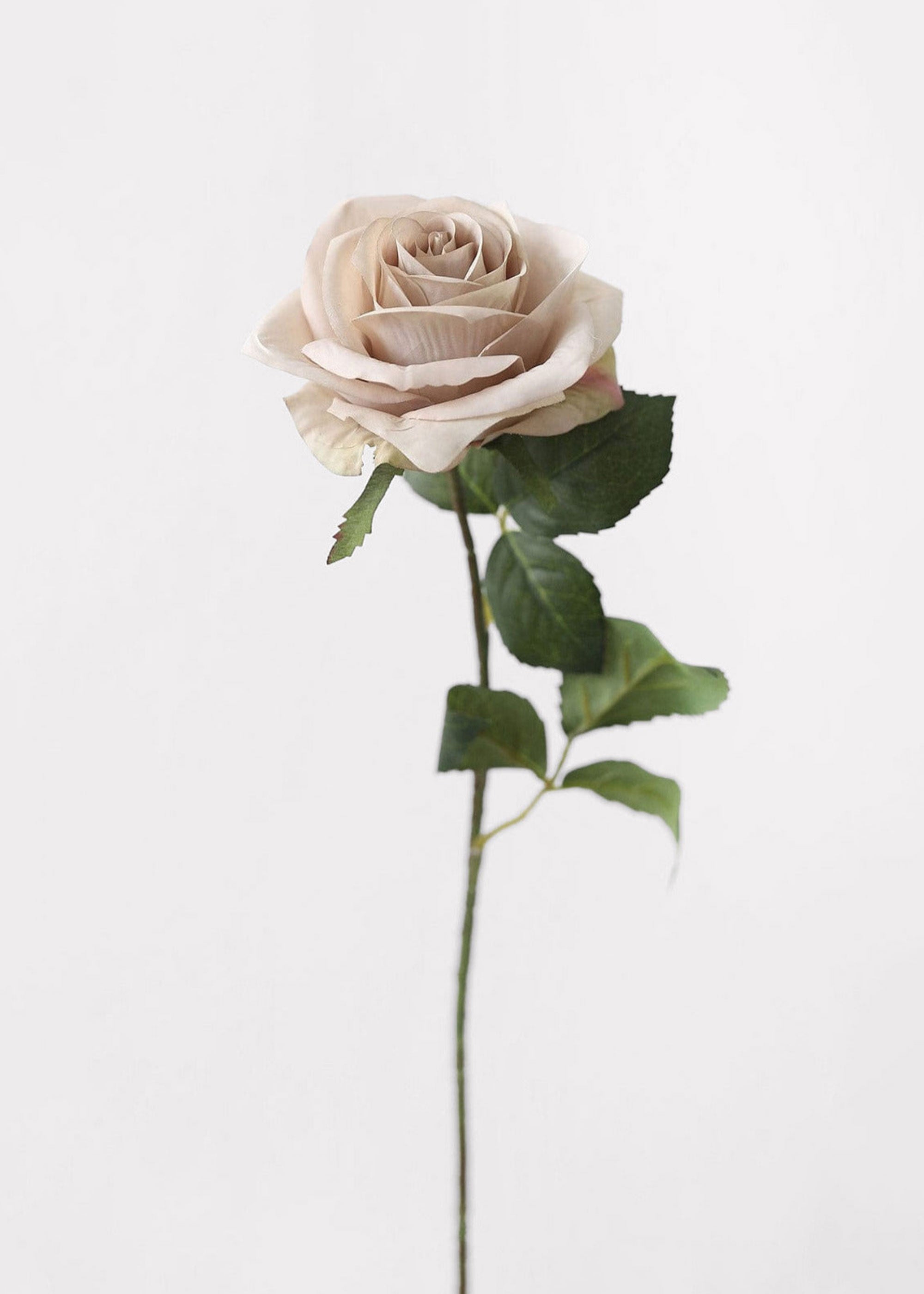 Taupe Beige Artificial Rose Stem for Entryway Arrangement