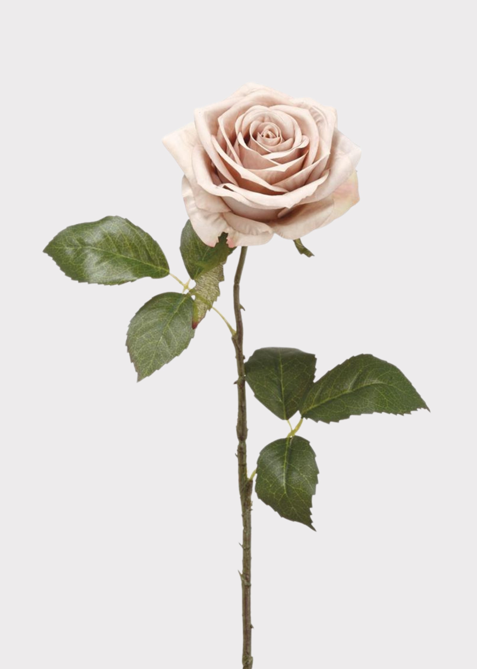 Taupe Beige Artificial Rose Stem for Vase Styling