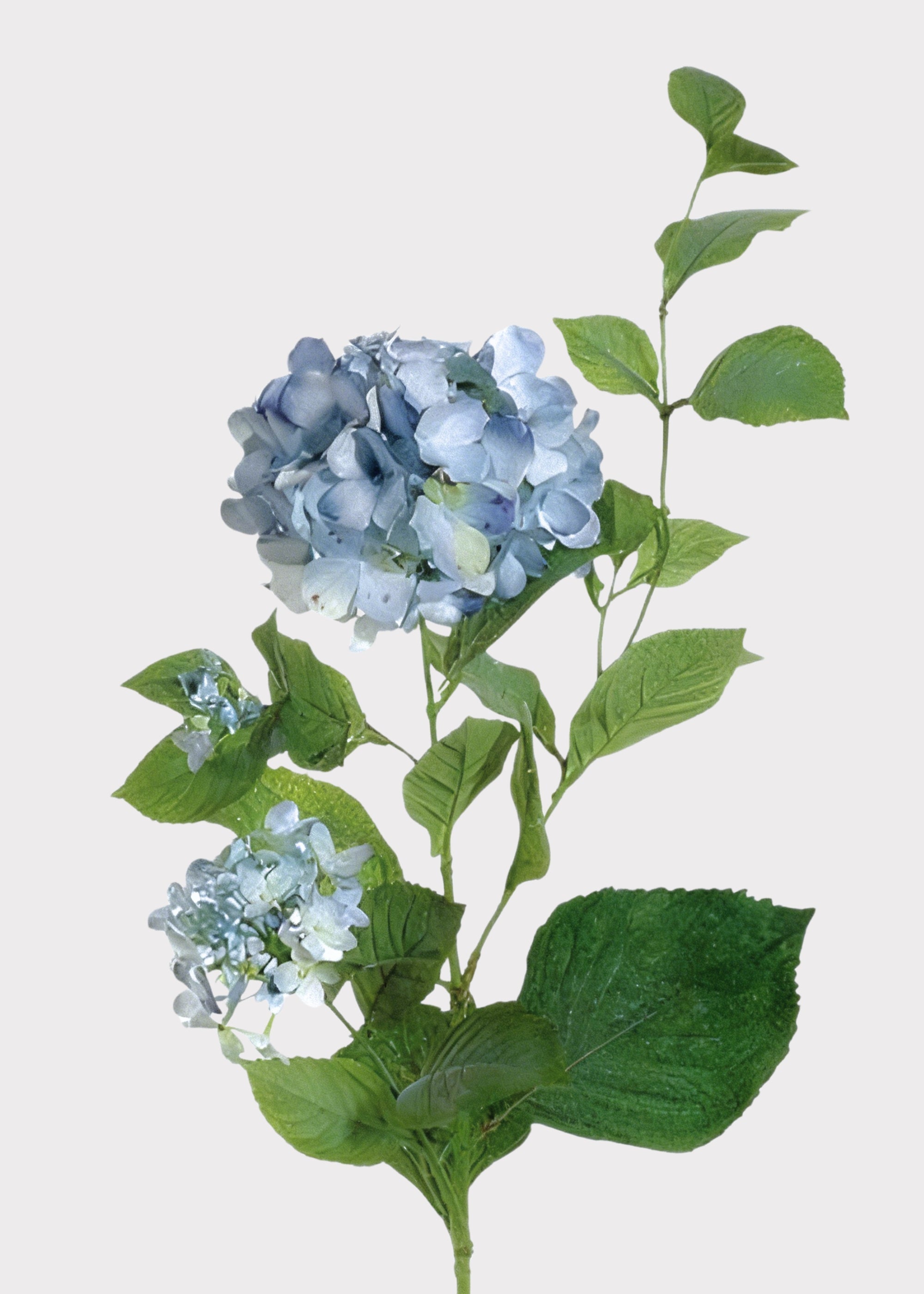 Antique Light Blue Artificial Hydrangea Stem for Vase Styling