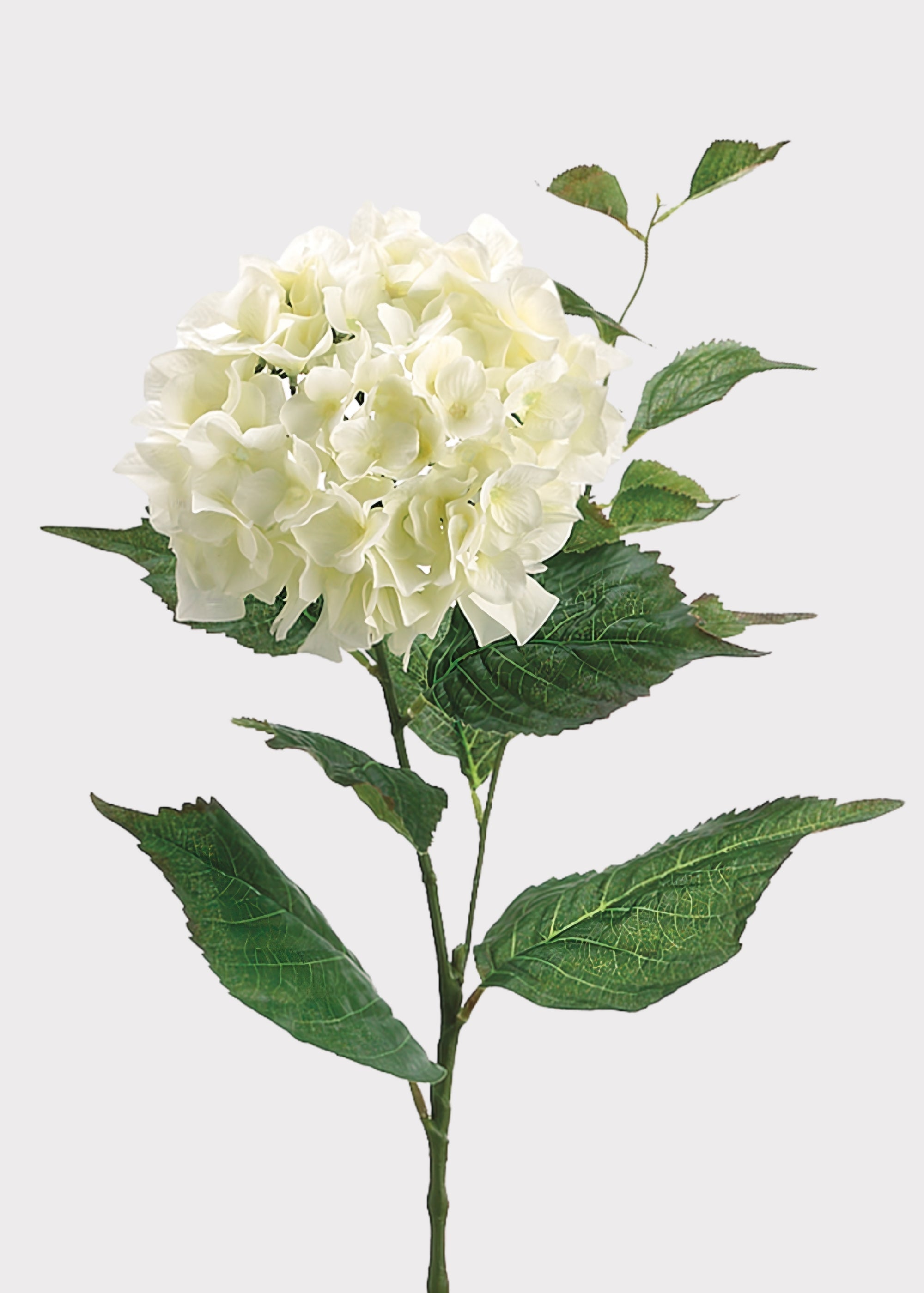 Cream Artificial Hydrangea Stem for Vase Styling