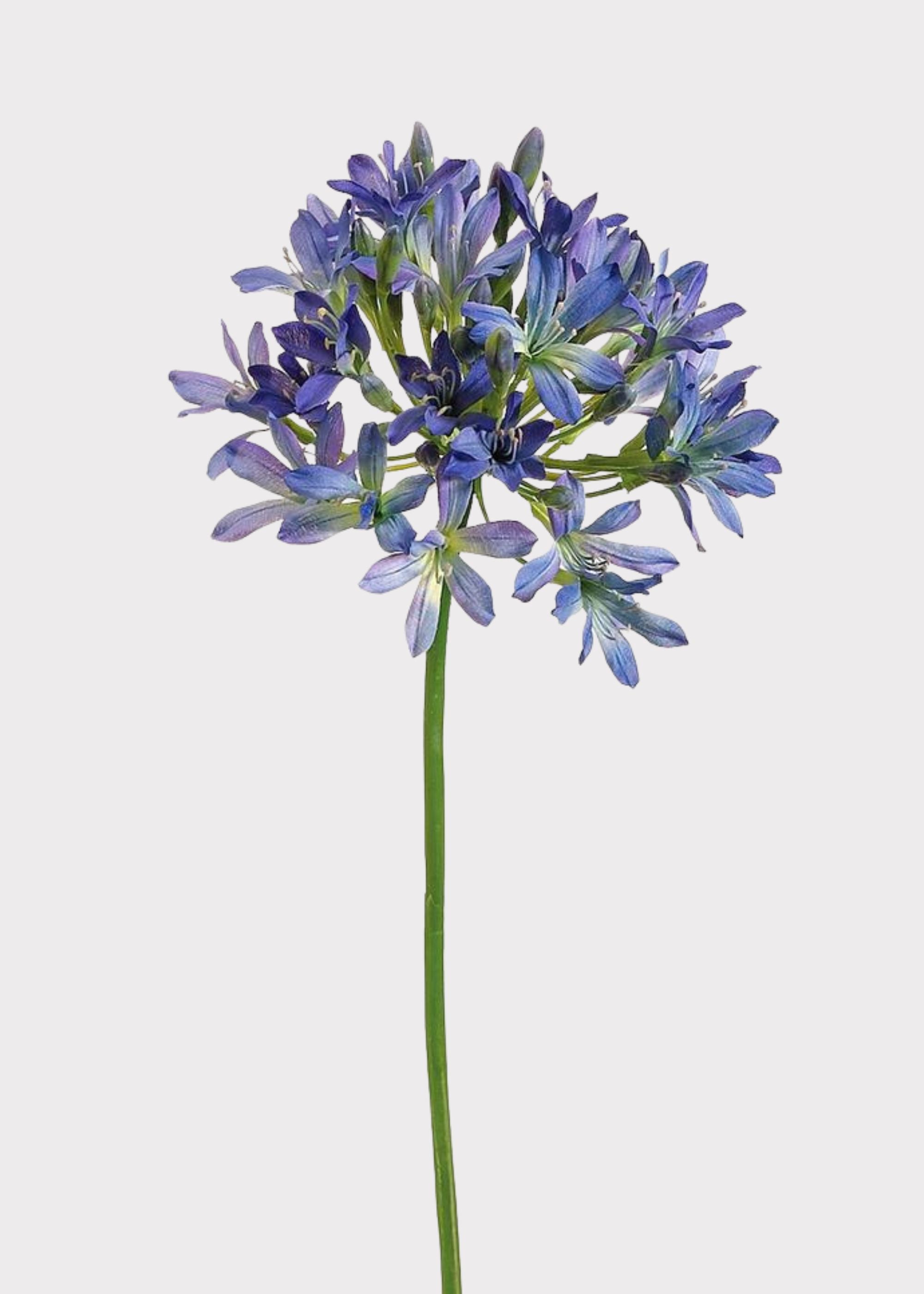 Purple Artificial Blue and Purple Agapanthus for Vase Styling