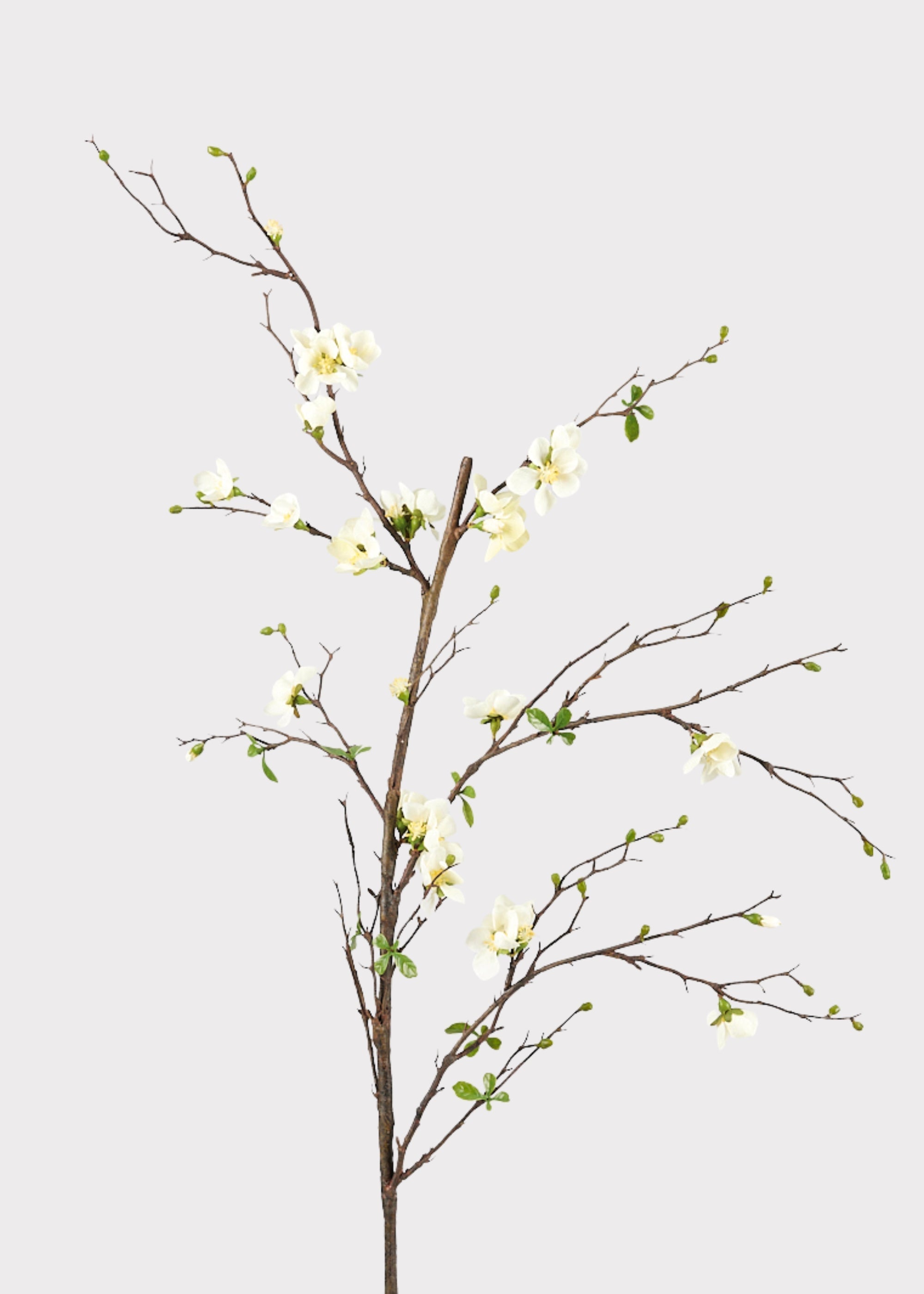 Cream Artificial Cherry Blossom Branch for Vase Styling