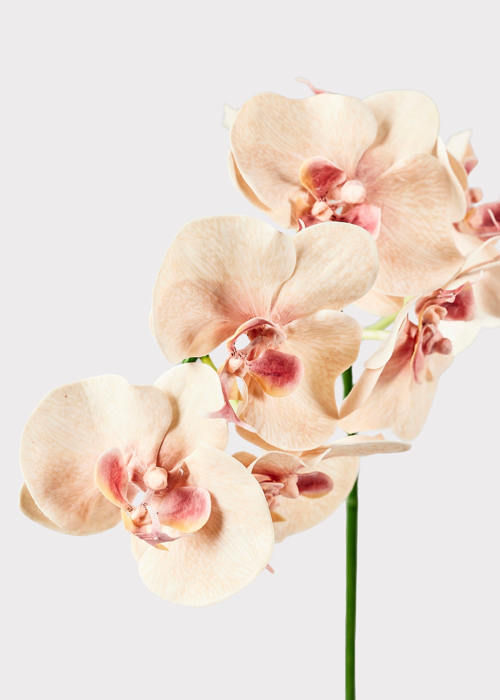 Pink Artificial Orchid Stem for Table Centerpiece
