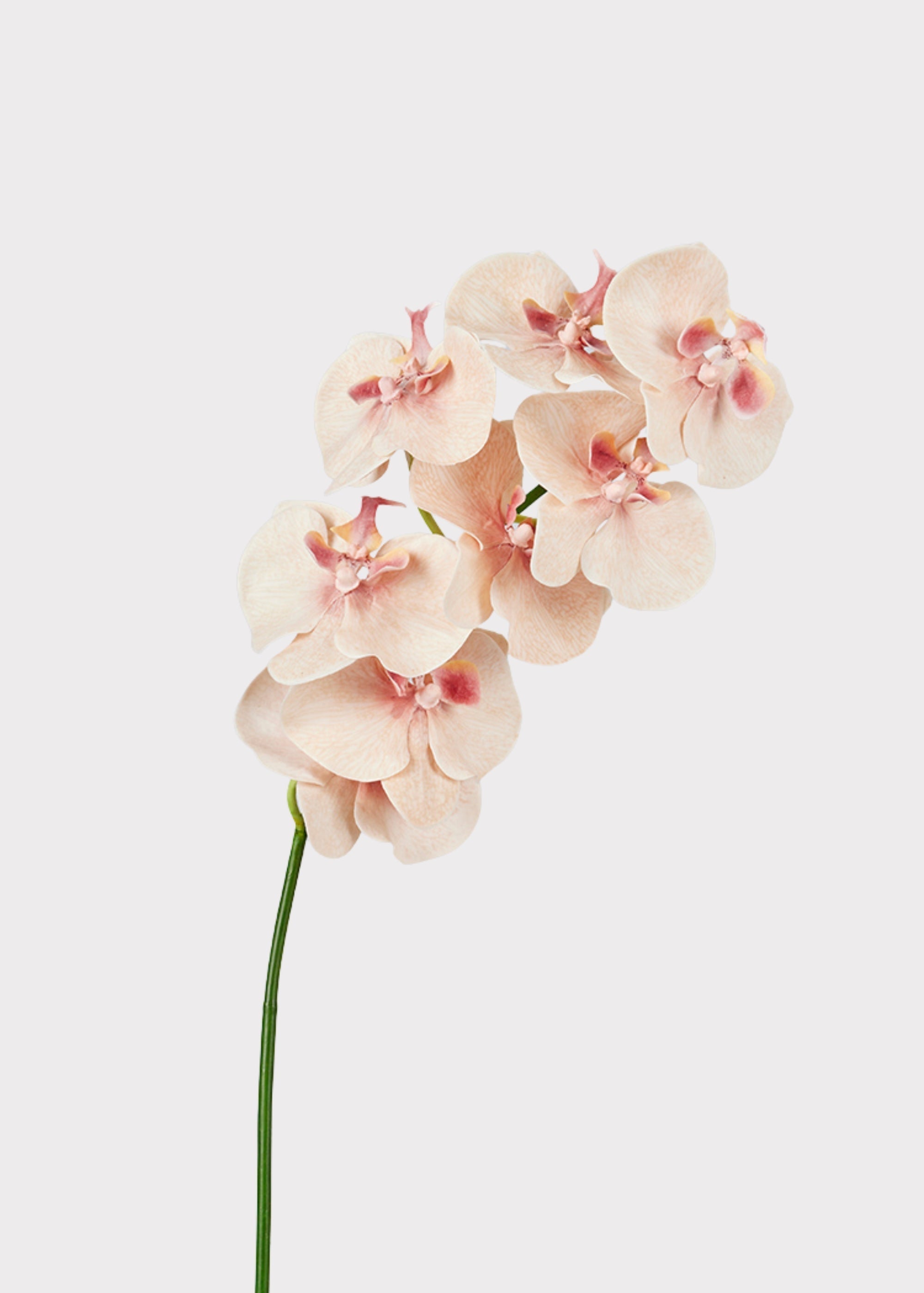 Pink Artificial Orchid Stem for Wedding Decor