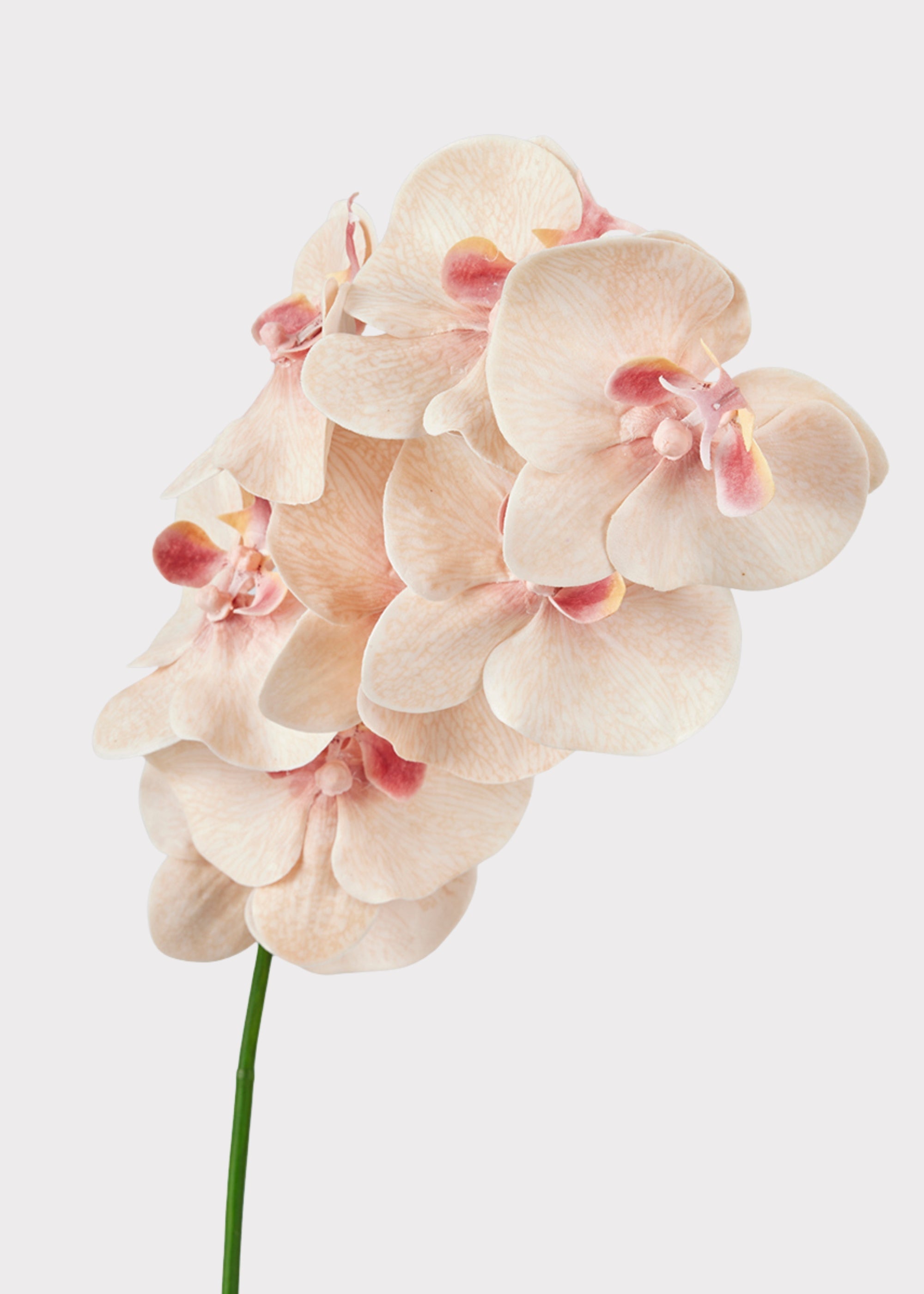 Pink Artificial Orchid Stem for Shelf Styling