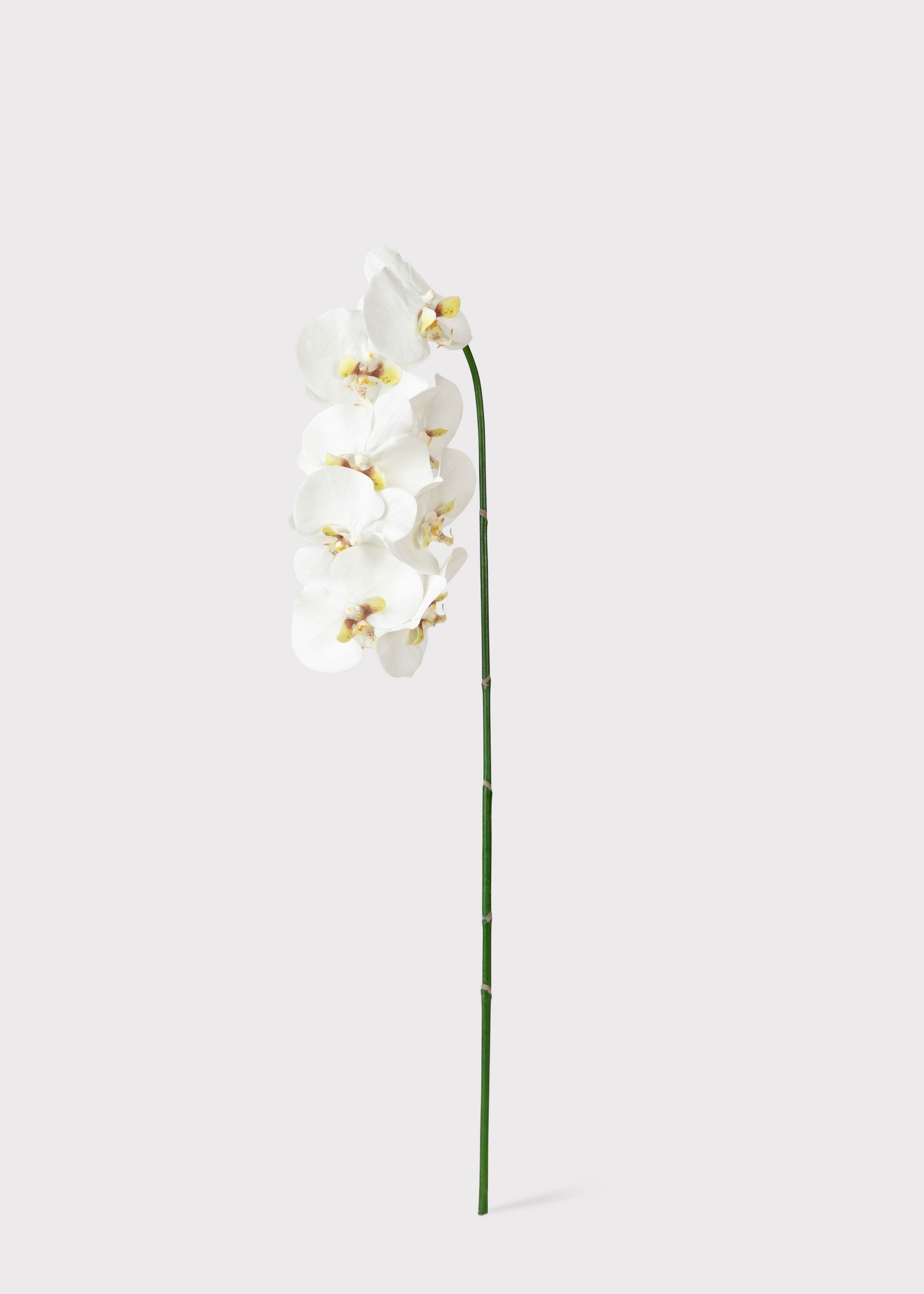 White Artificial Orchid Stem for Entryway Arrangement