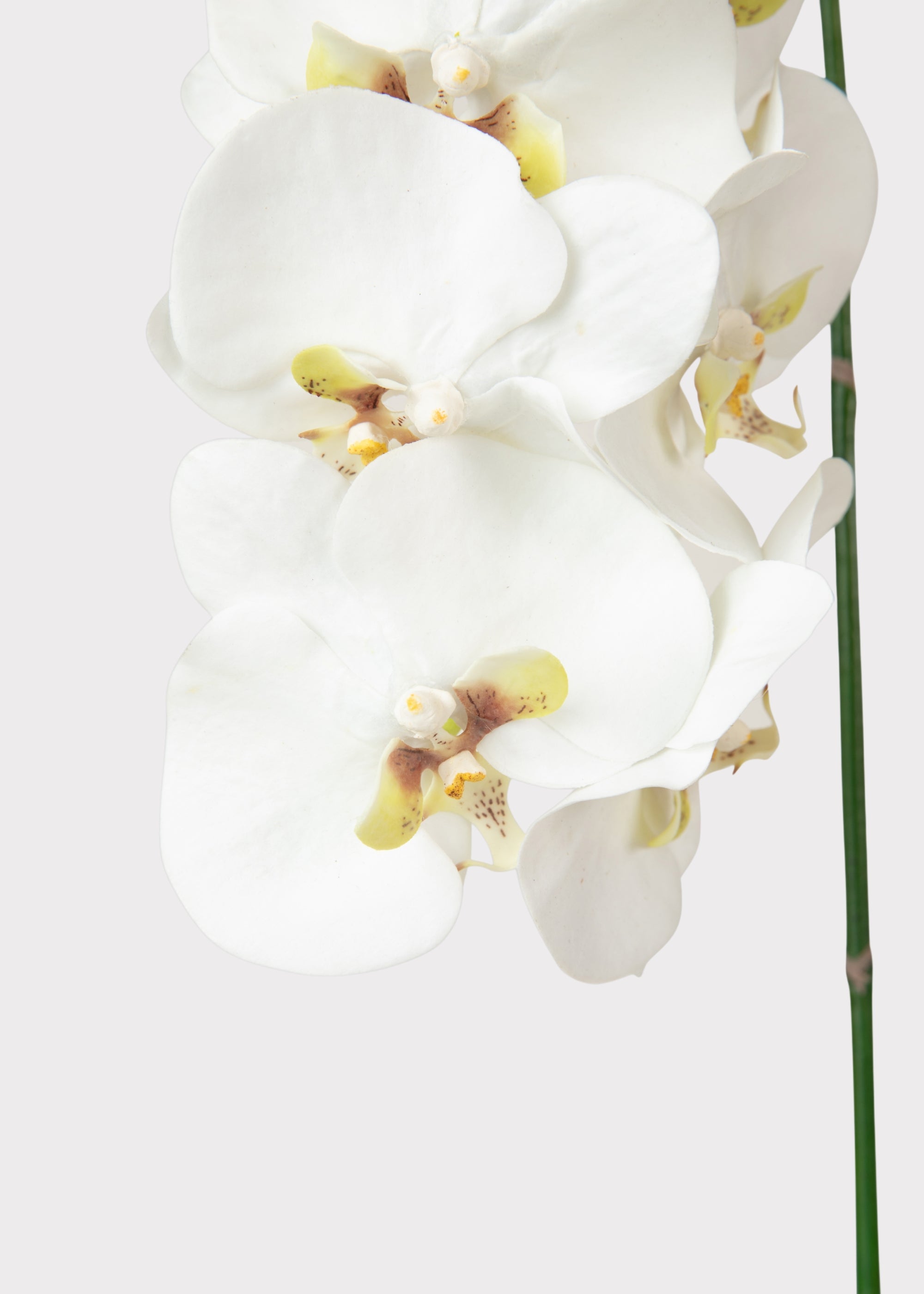 White Artificial Orchid Stem for Wedding Decor