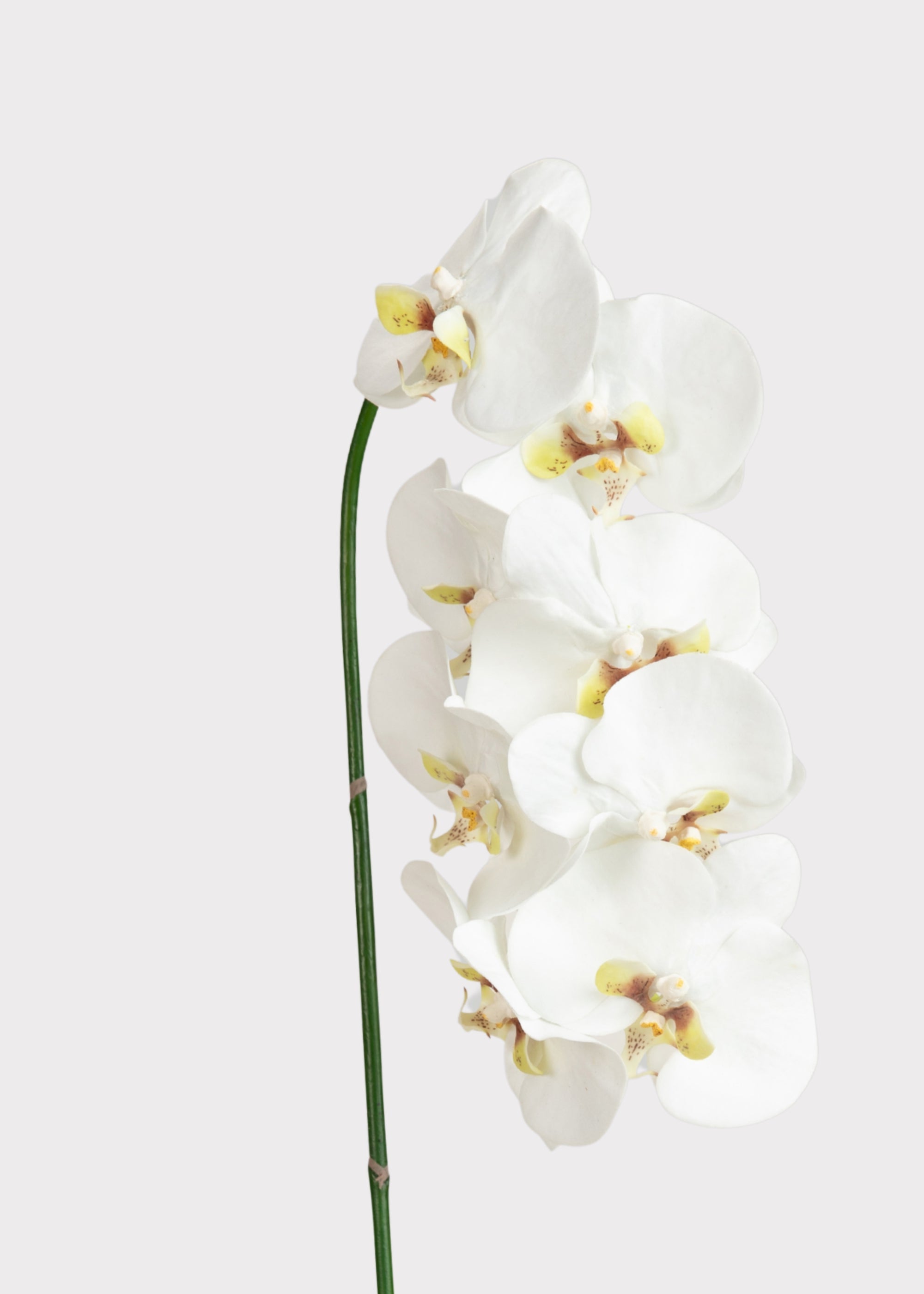 White Artificial Orchid Stem for Vase Styling