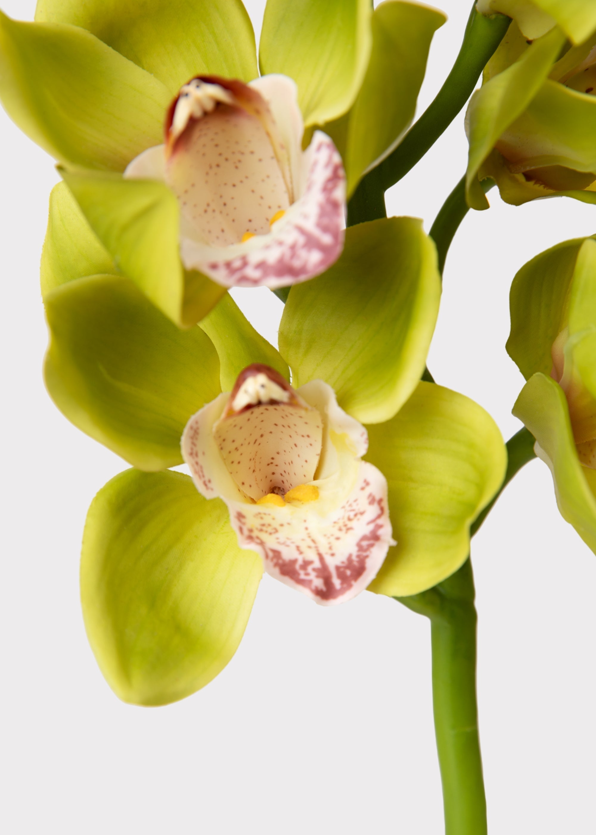 Burgundy Artificial Orchid Stem for Table Centerpiece