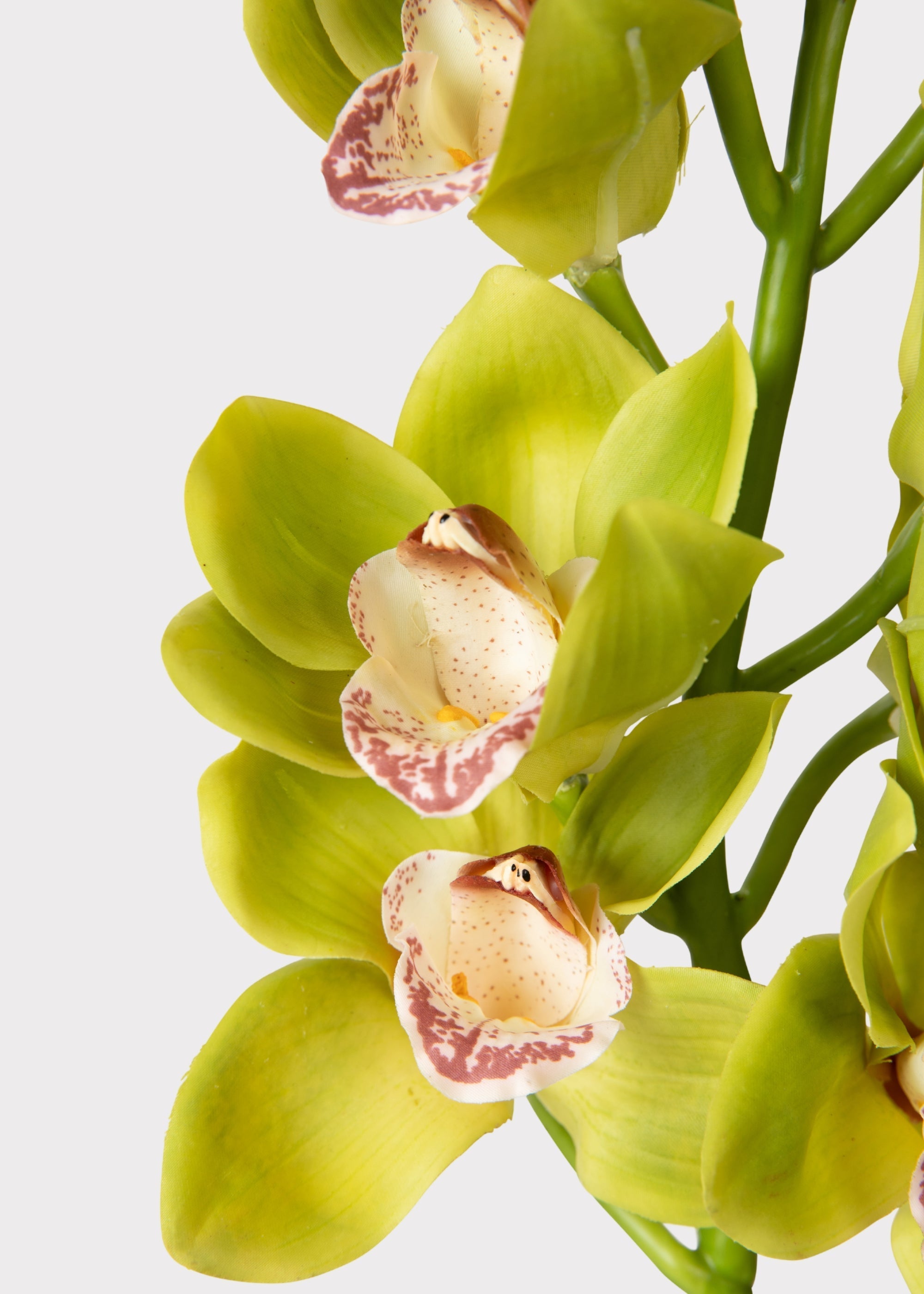 Burgundy Artificial Orchid Stem for Home Decor