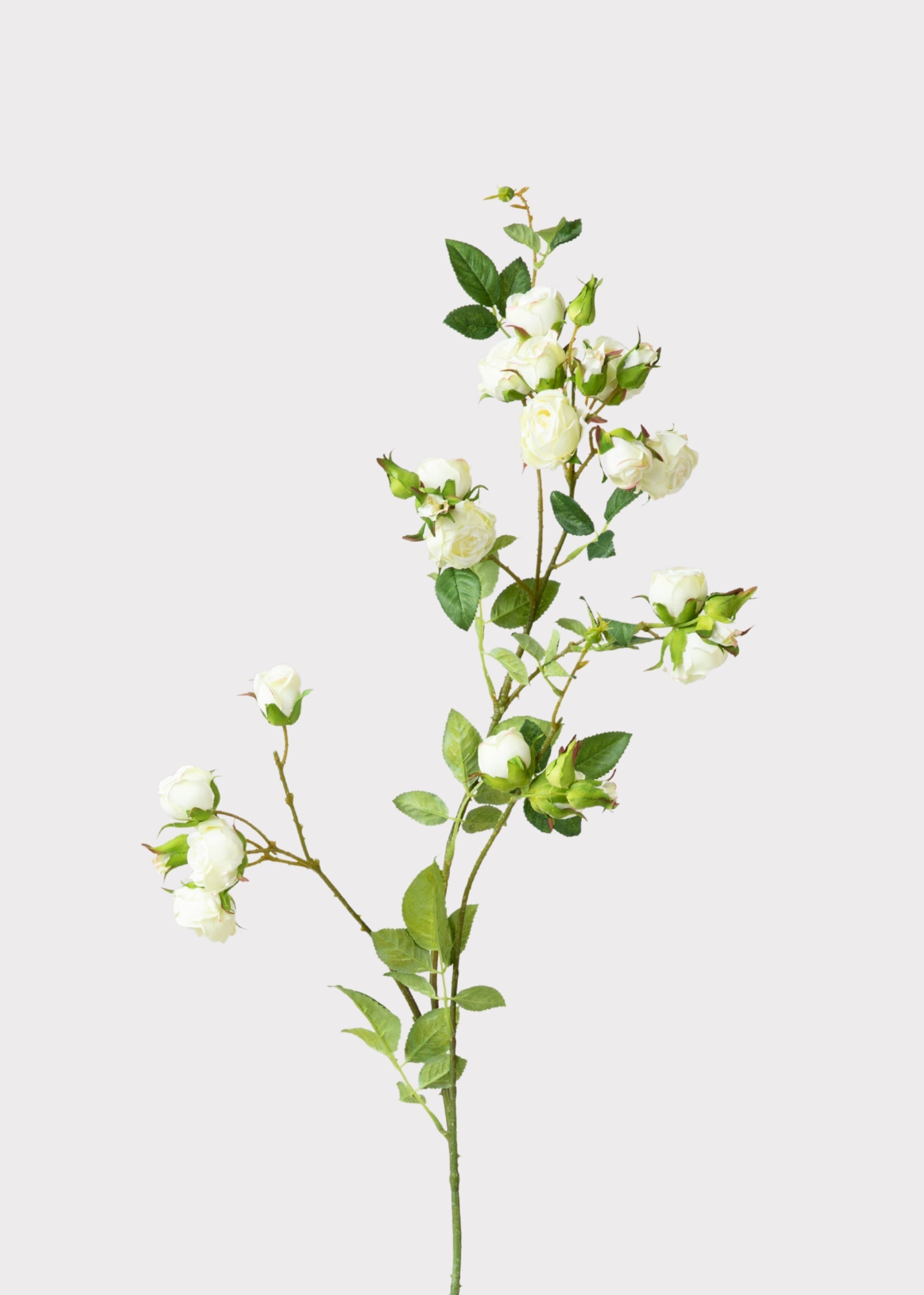 Cream Artificial Rose Branch for Vase Styling