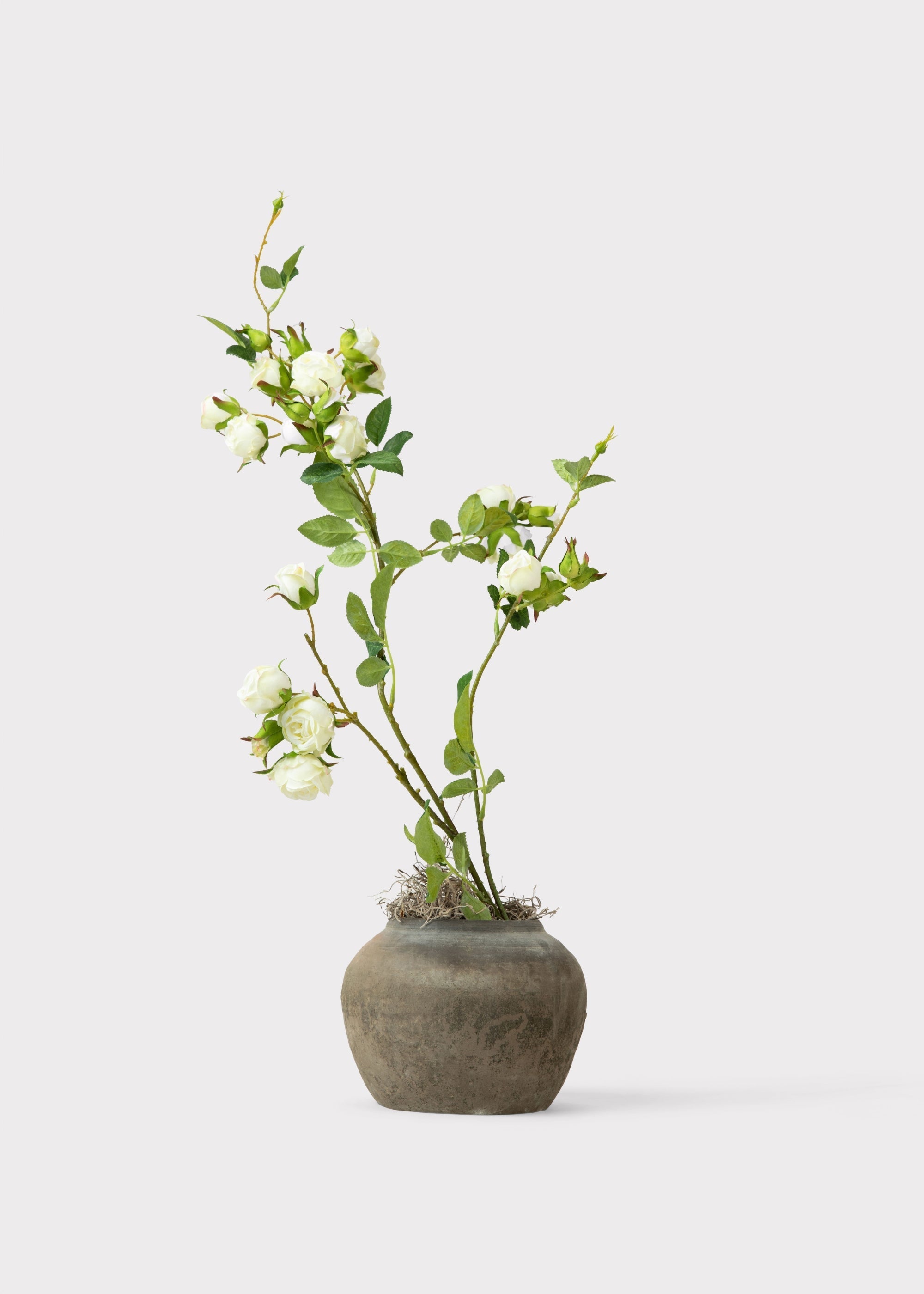 Cream Artificial Rose Branch for Shelf Styling
