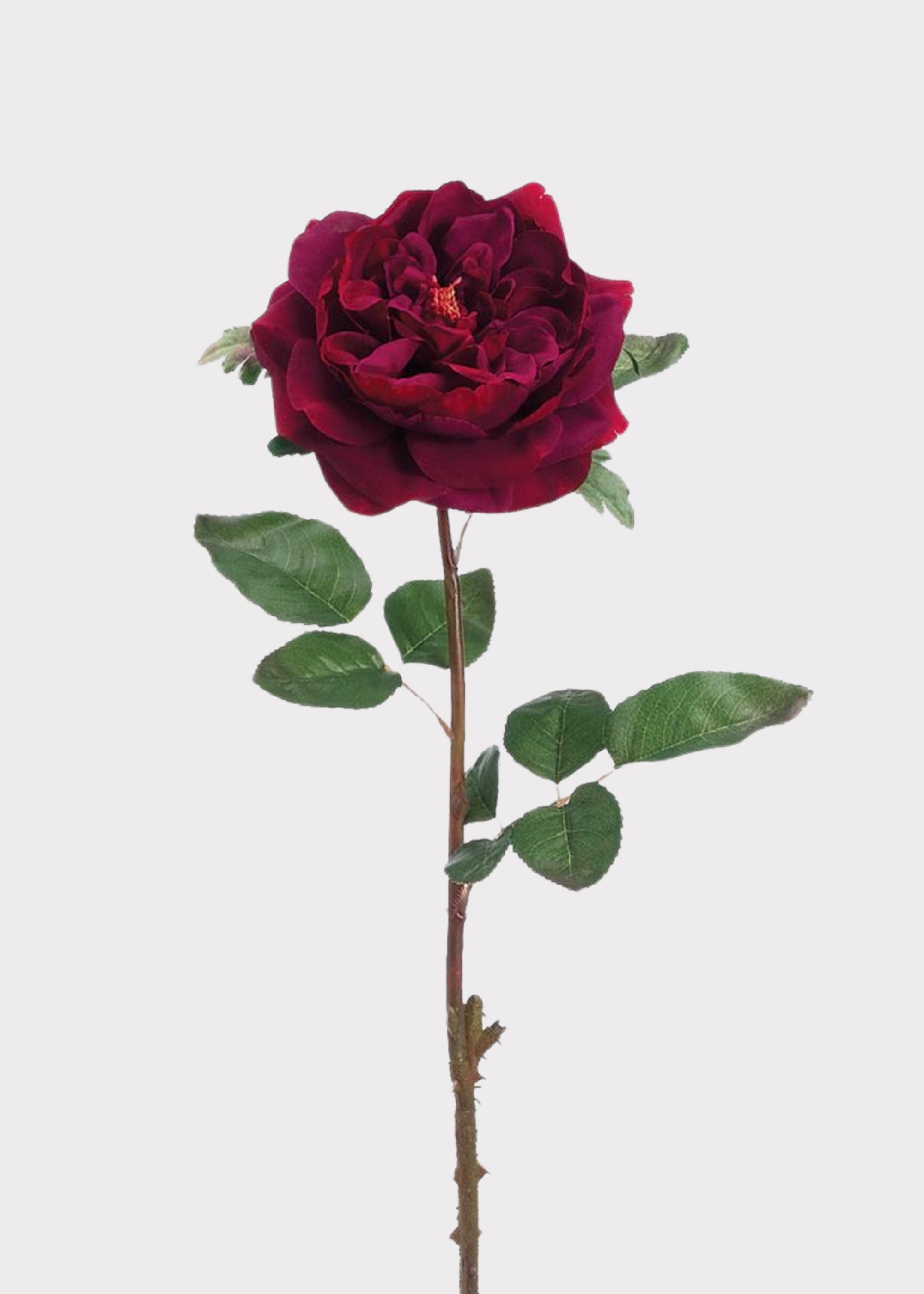 Wine Artificial Rose Stem for Vase Styling