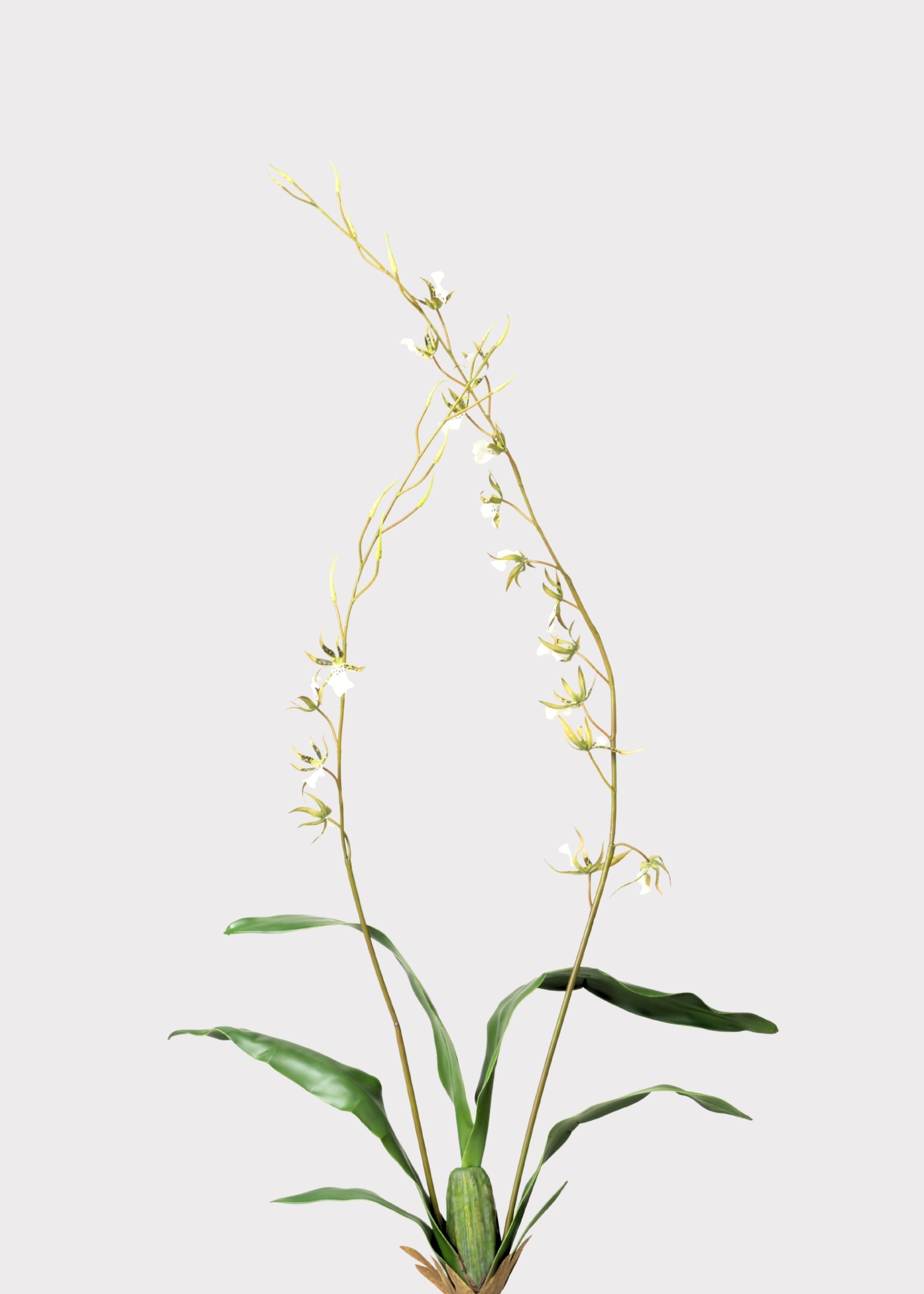 Artificial Orchid Stem for Vase Styling