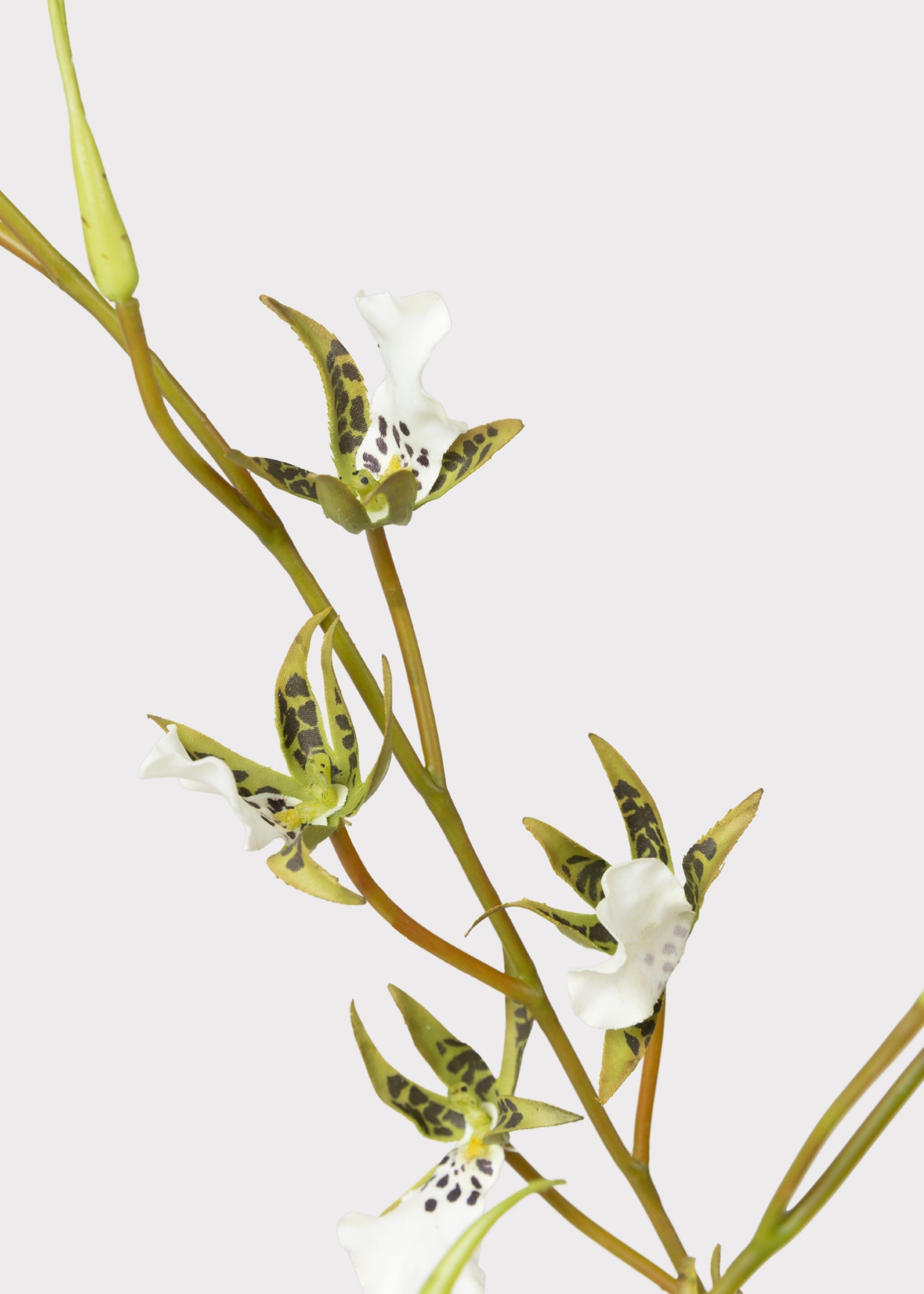 Artificial Orchid Stem for Table Centerpiece