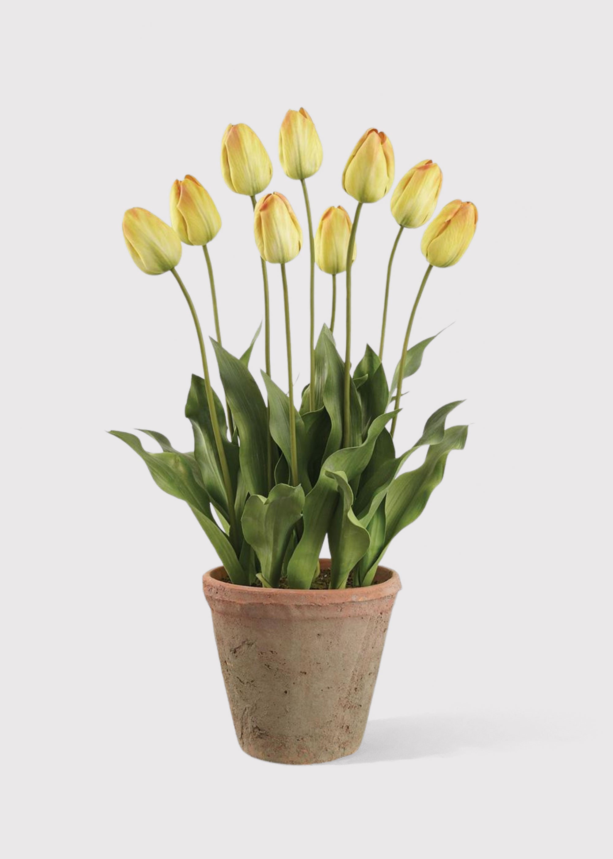 Yellow Tulip Arrangement for Vase Styling