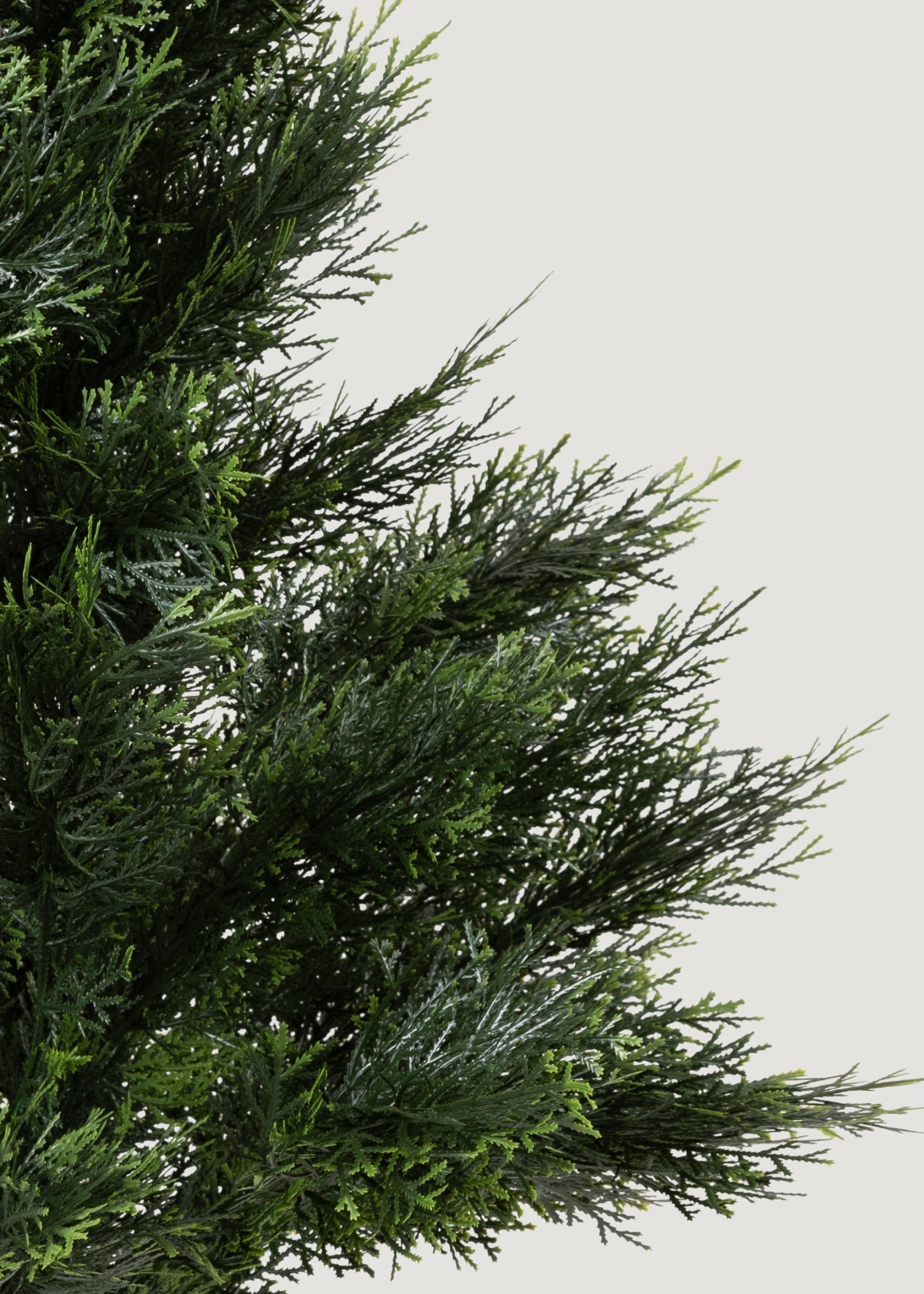 Cedar Topiary Tree for Table Centerpiece