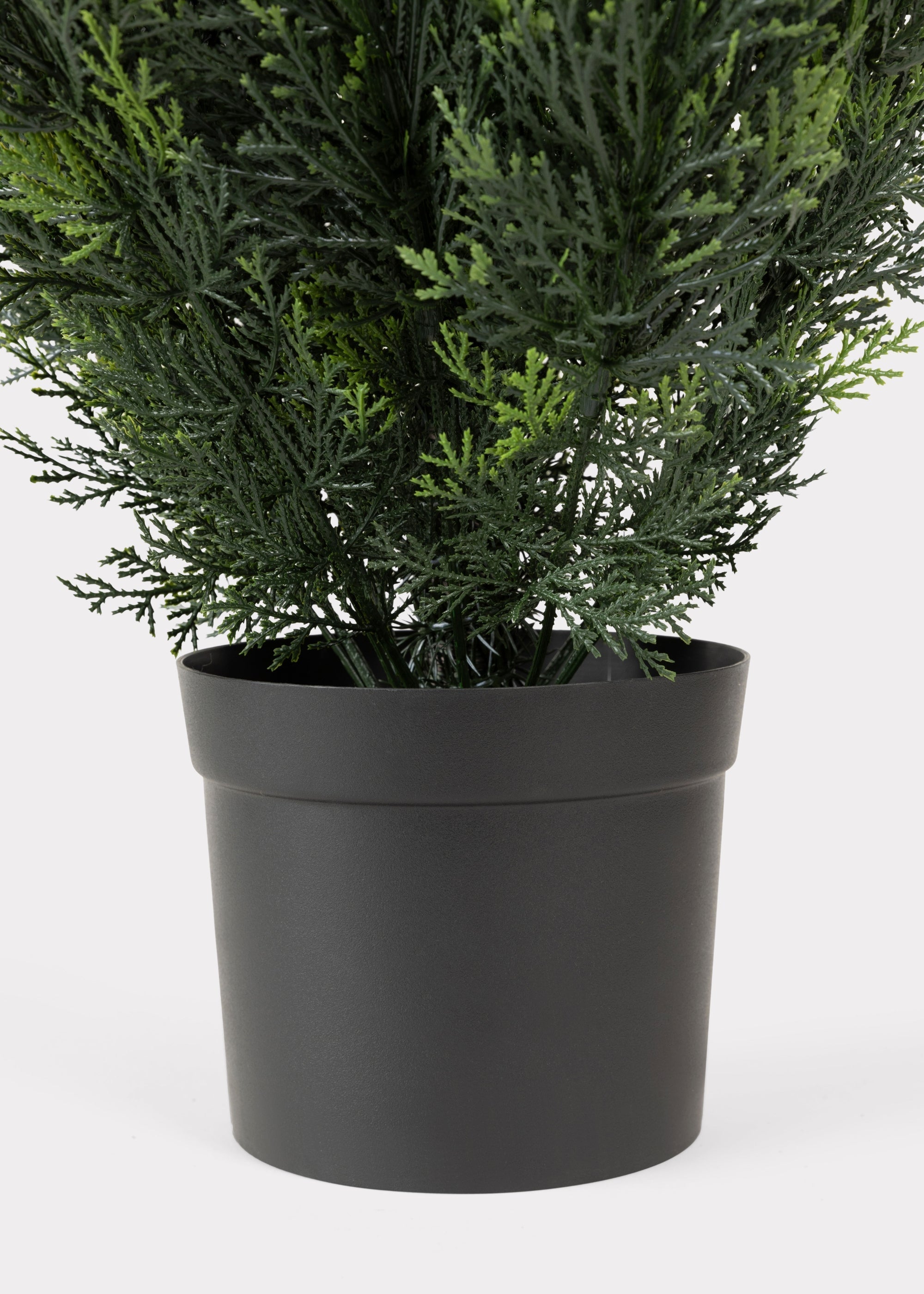 Cedar Topiary Tree for Wedding Decor