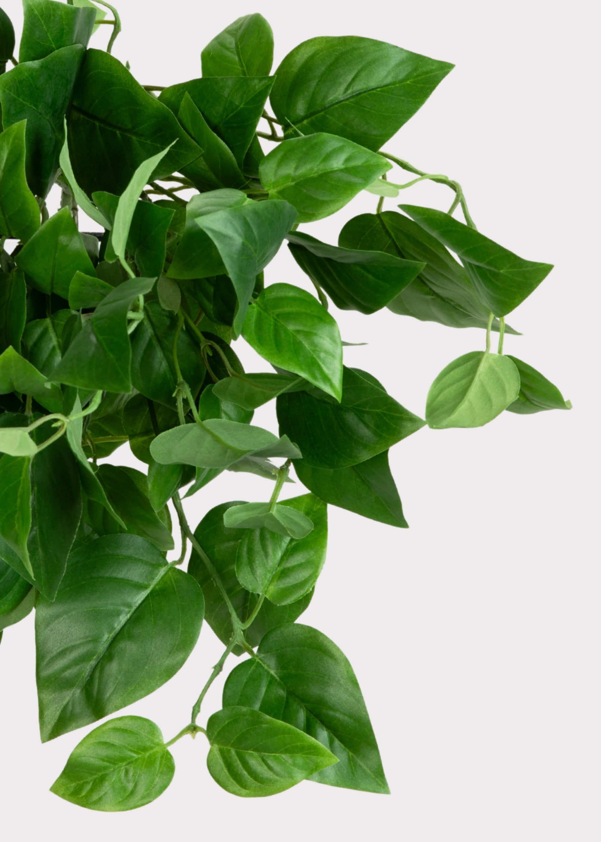 Green Artificial Hanging Philodendron for Wedding Decor