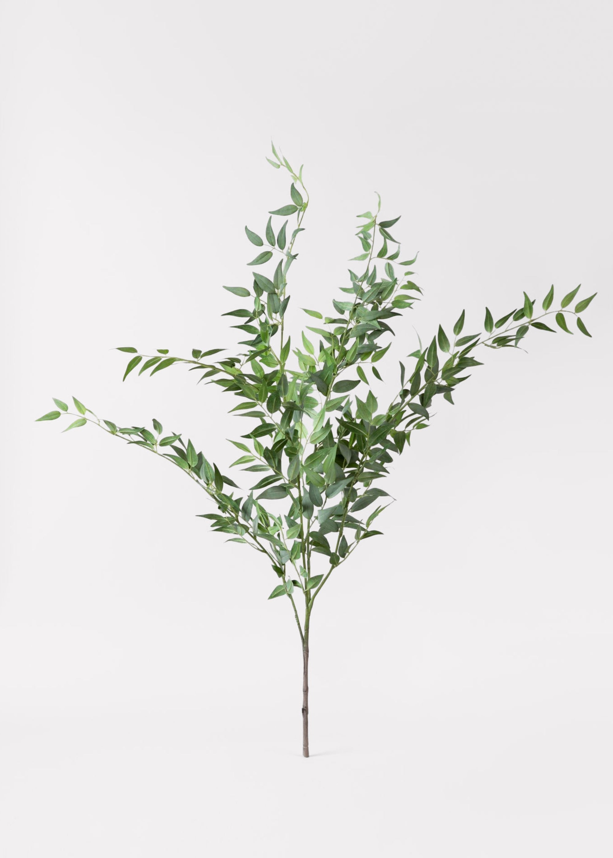 Green Artificial Ruscus Bush for Vase Styling