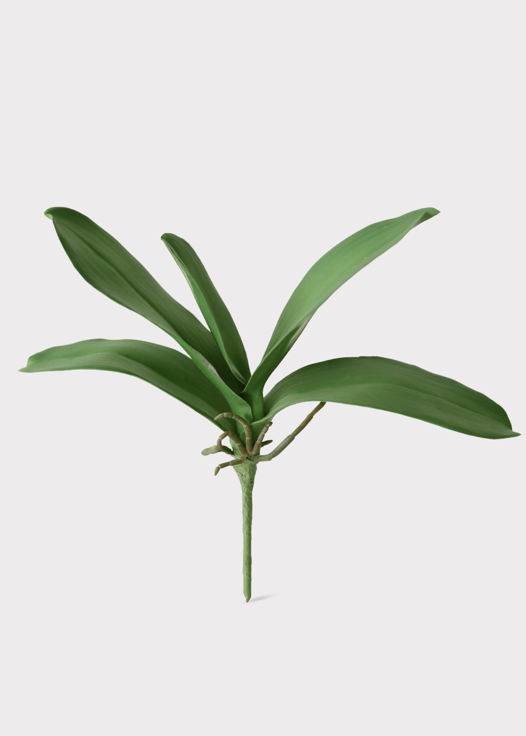 Green Artificial Orchid Stem for Vase Styling
