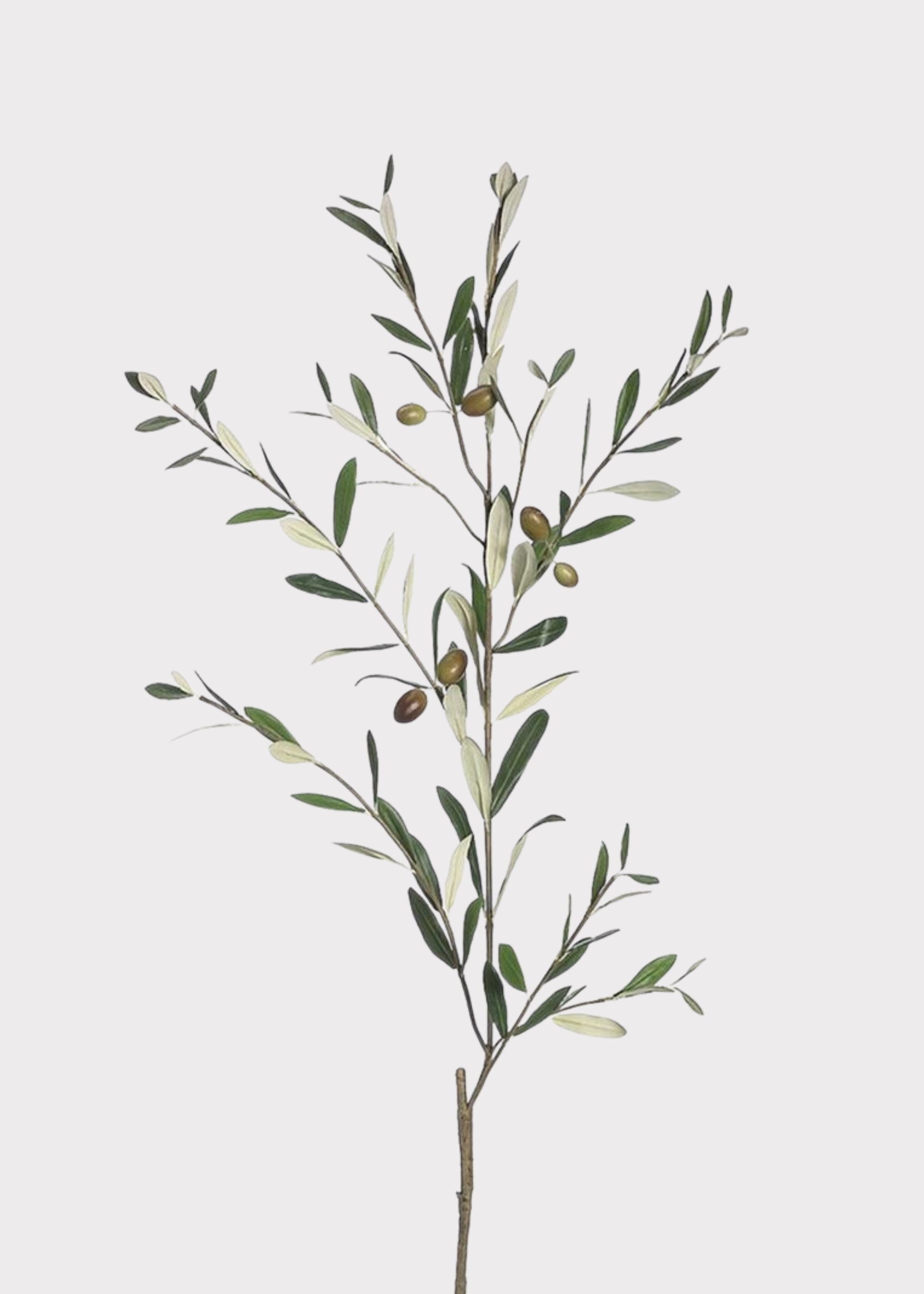 Green Artificial Olive Branch for Vase Styling
