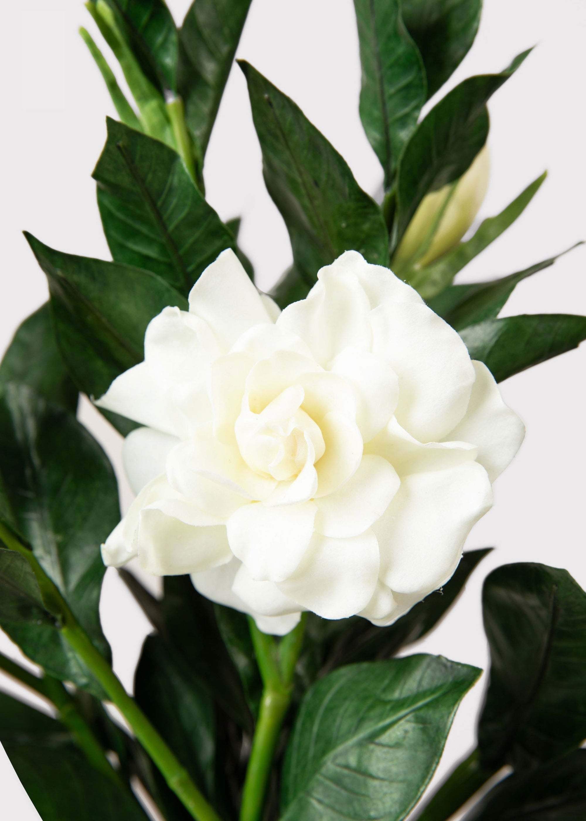 White Artificial Premium Gardenia Branch for Entryway Arrangement