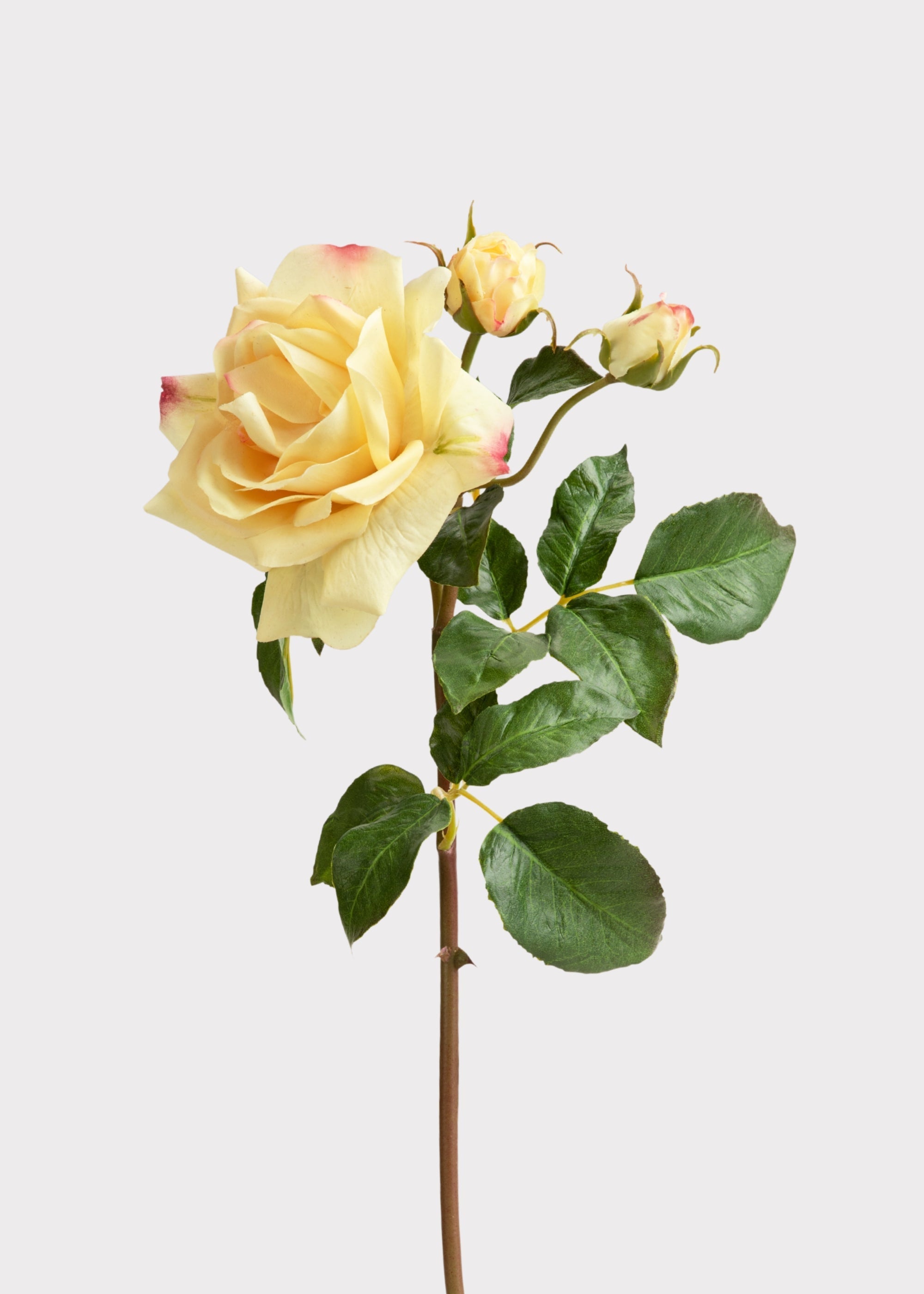 Yellow Real Touch Artificial Rose Bundle for Vase Styling
