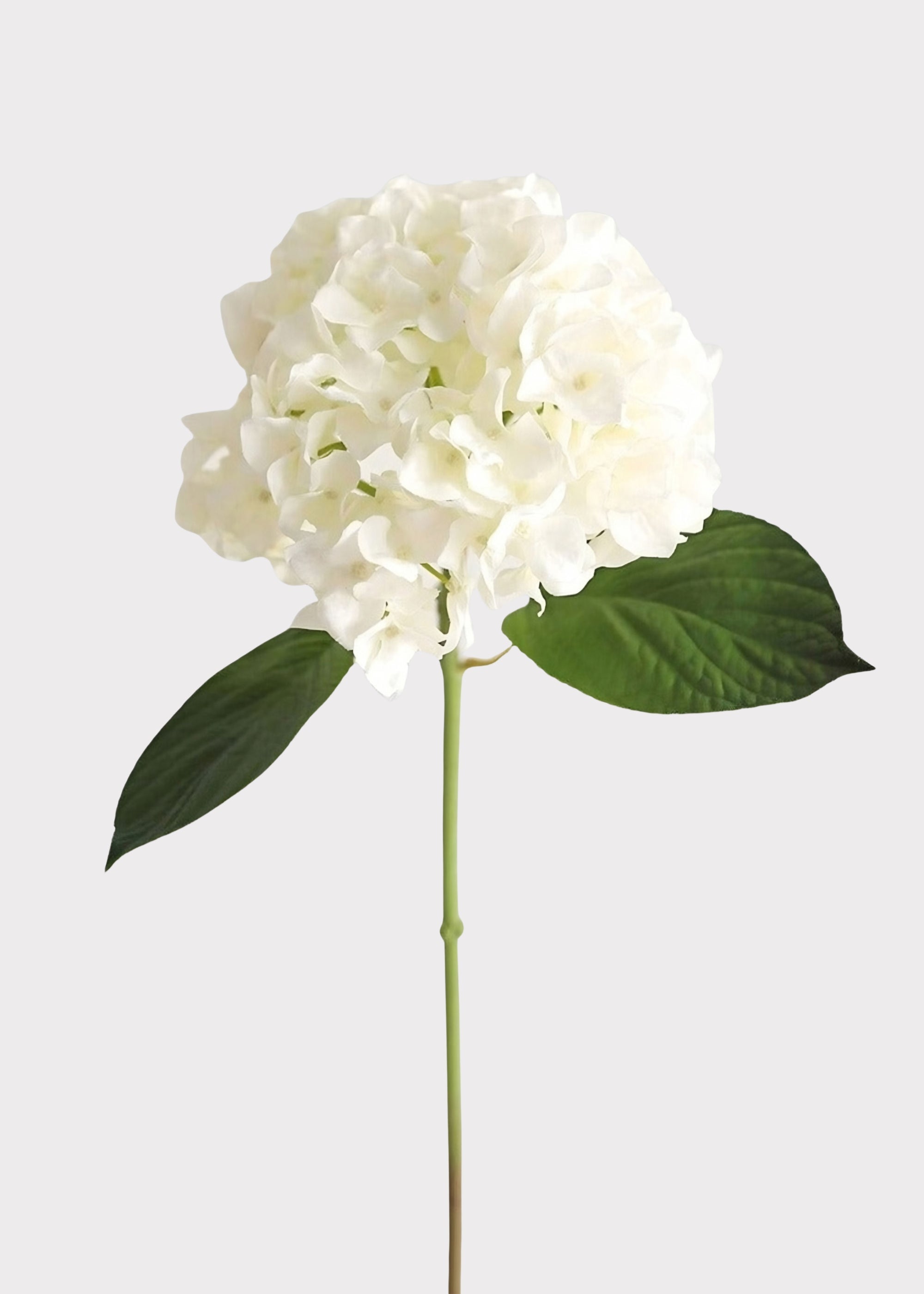 White Real Touch Artificial Hydrangea Stem for Vase Styling