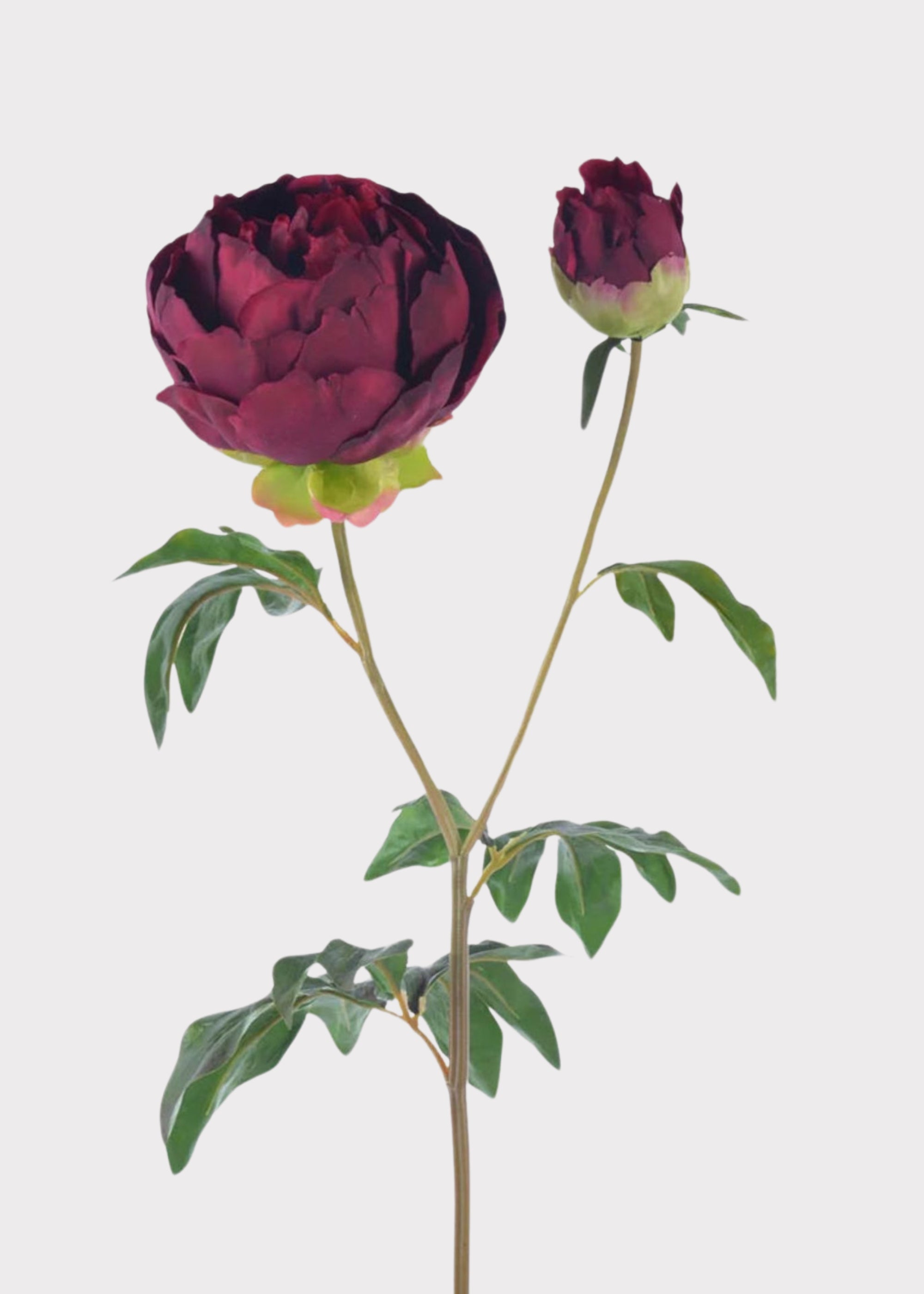 Fuchsia Real Touch Artificial Peony Bundle for Vase Styling
