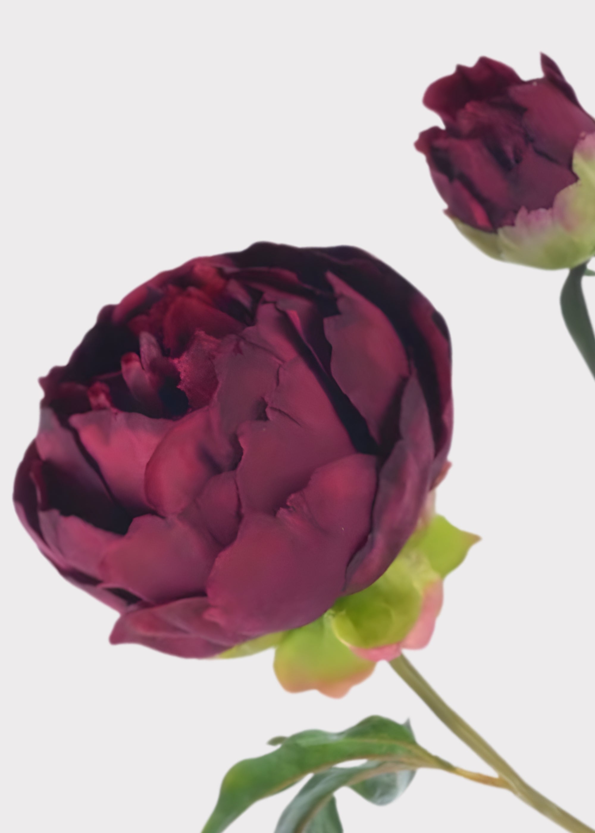 Fuchsia Real Touch Artificial Peony Bundle for Wedding Decor
