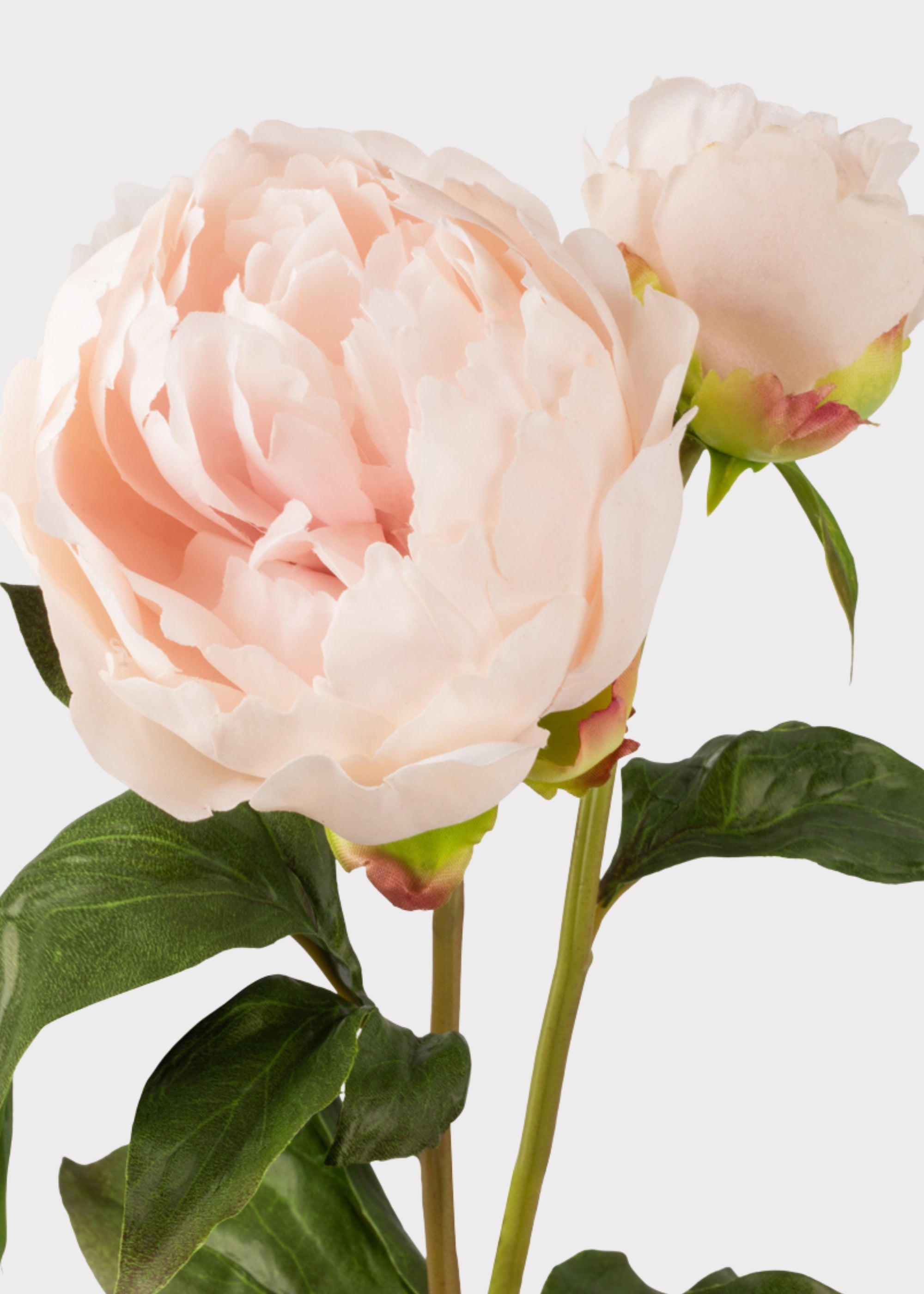 Blush Real Touch Artificial Peony Bundle for Table Centerpiece