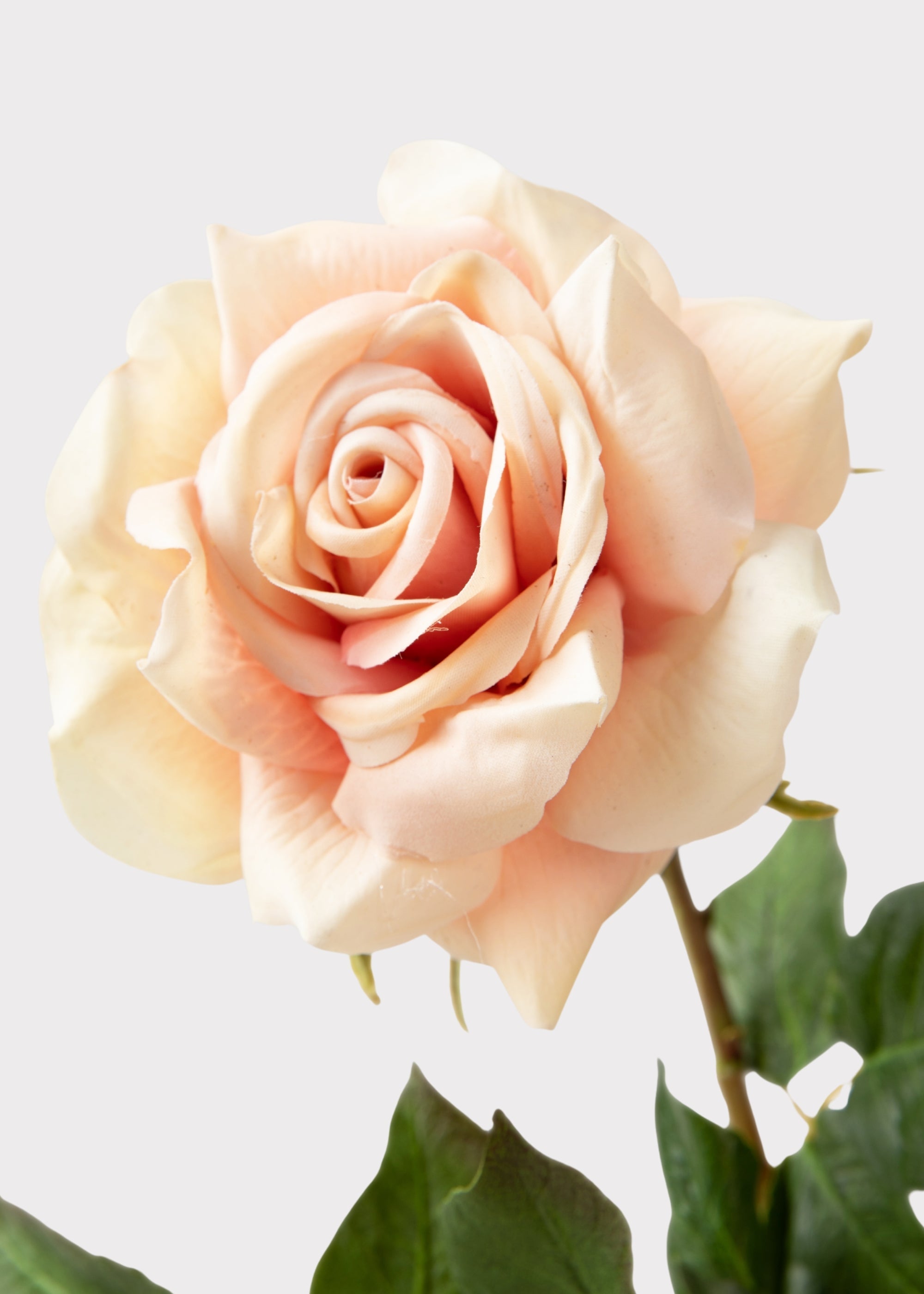 Pink Real Touch Artificial Rose Bundle for Table Centerpiece