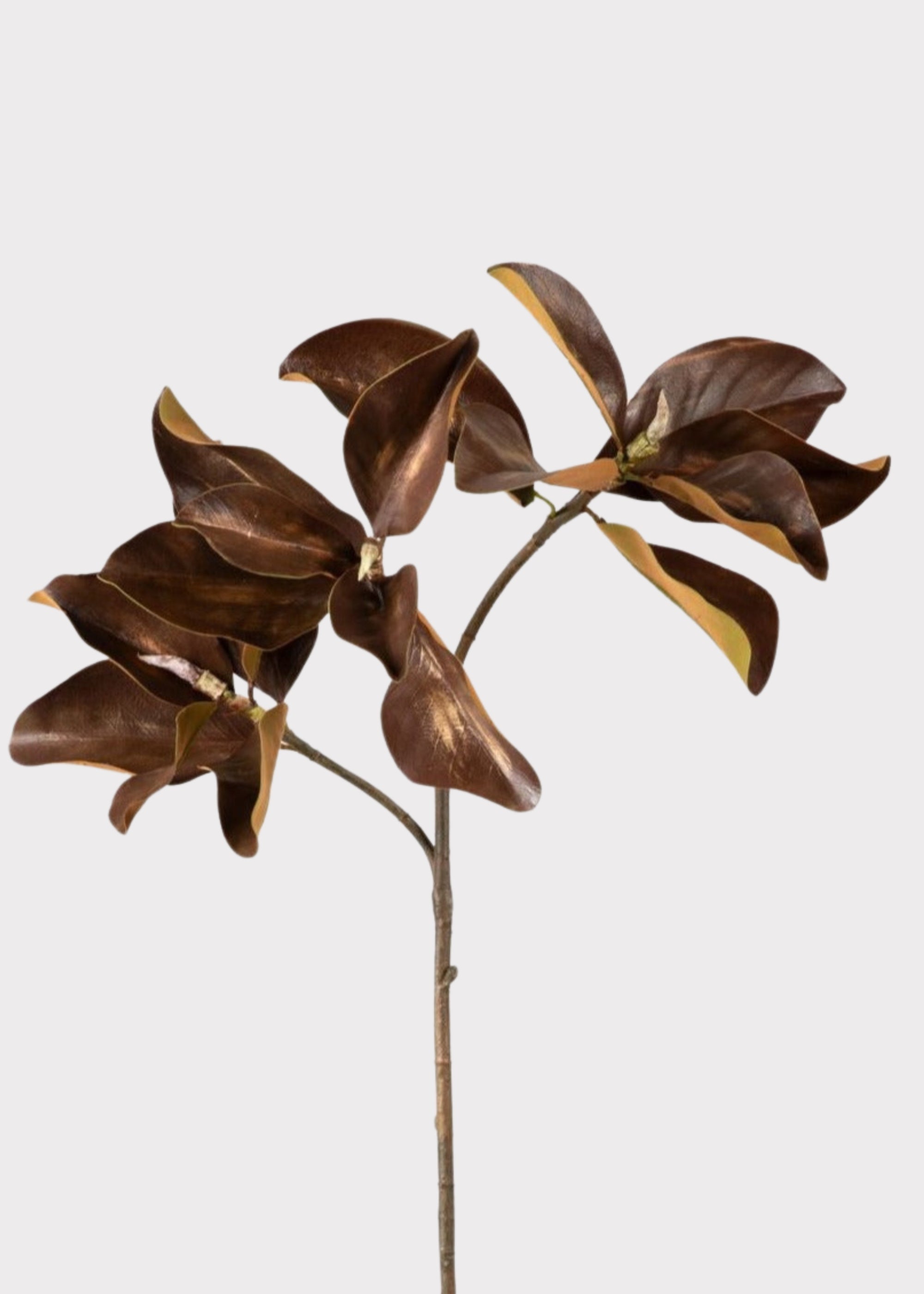 Brown Artificial Magnolia Branch for Vase Styling