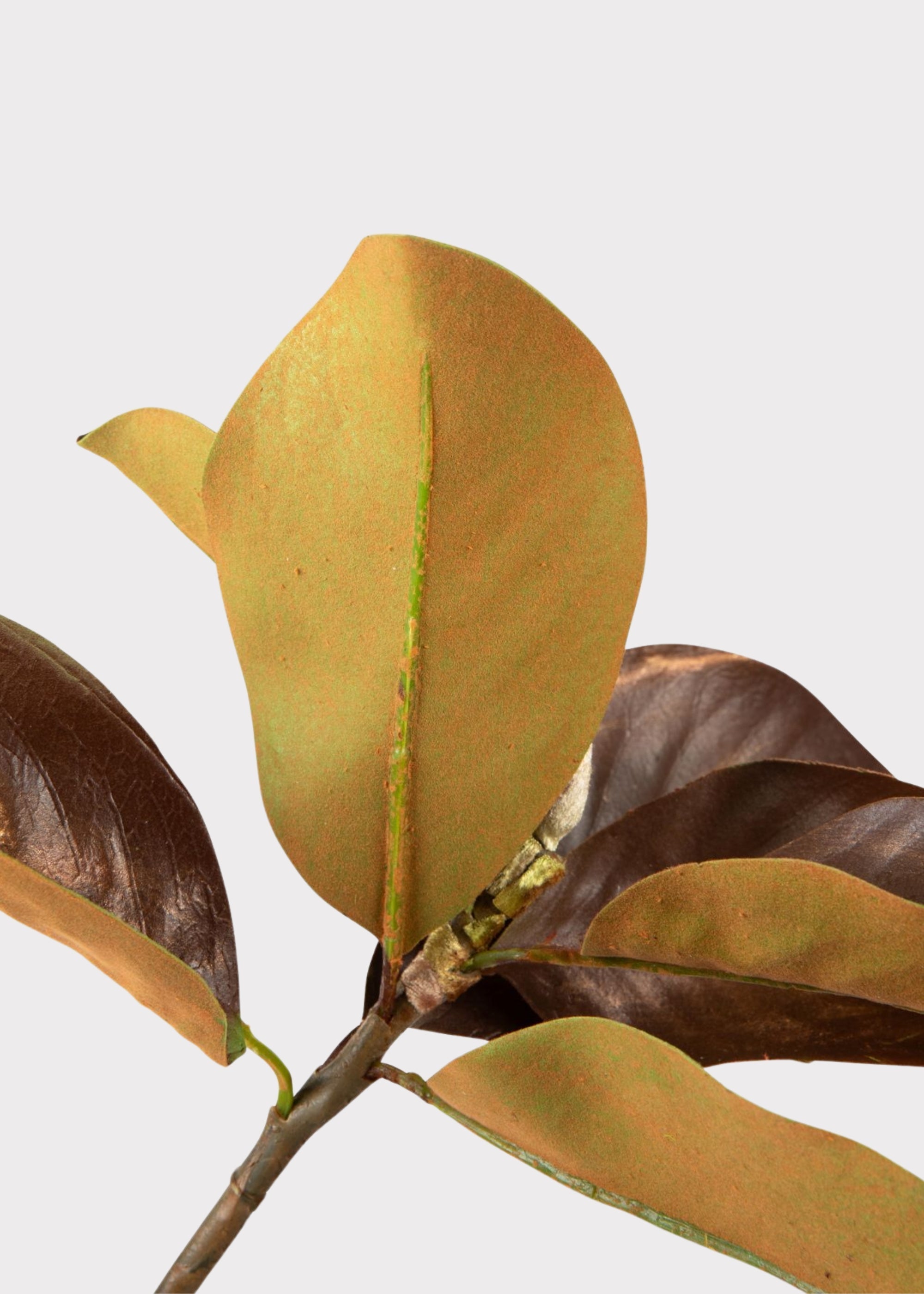 Brown Artificial Magnolia Branch for Entryway Arrangement