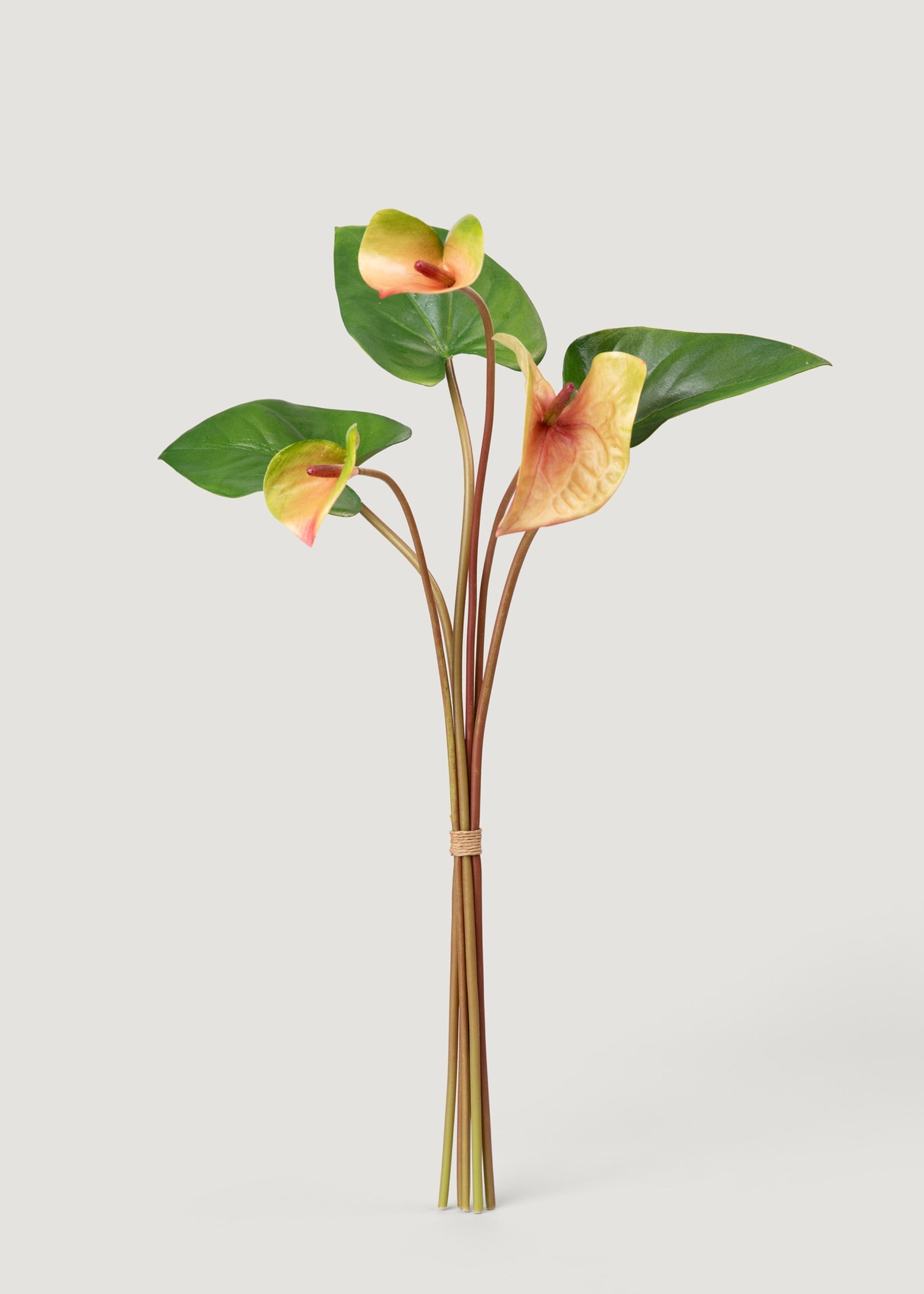 Pink Artificial and Green Tropical Anthurium Bundle for Vase Styling