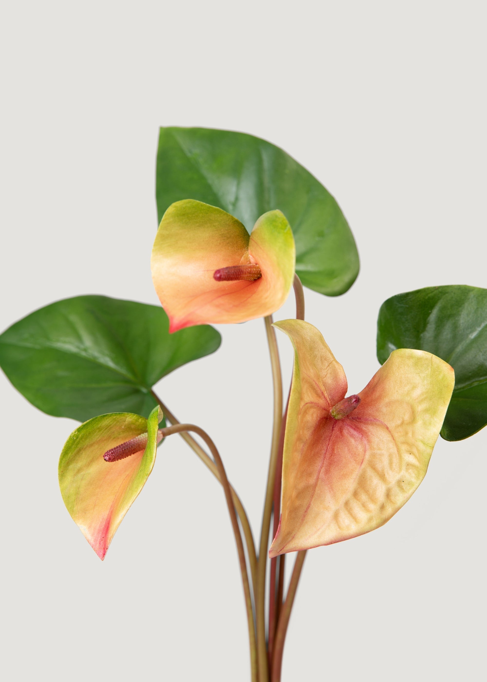 Pink Artificial and Green Tropical Anthurium Bundle for Home Decor