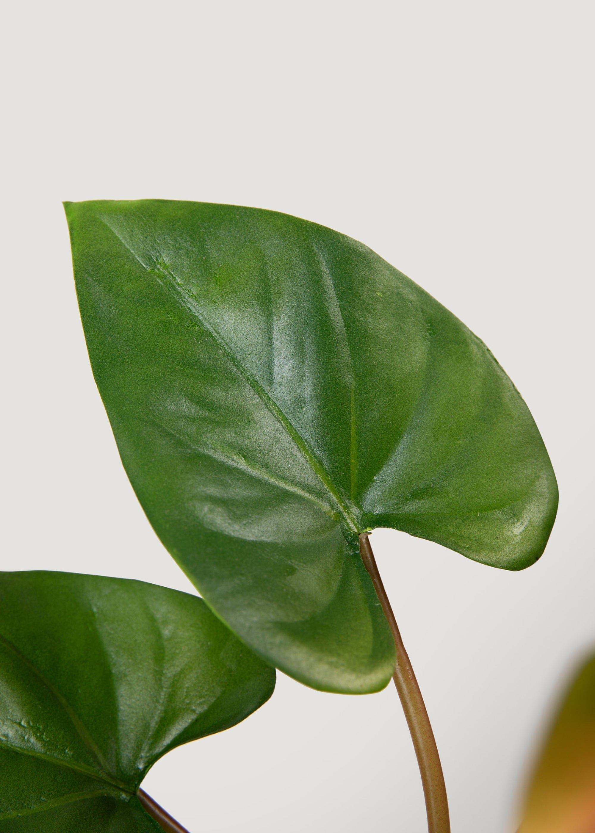 Pink Artificial and Green Tropical Anthurium Bundle for Table Centerpiece