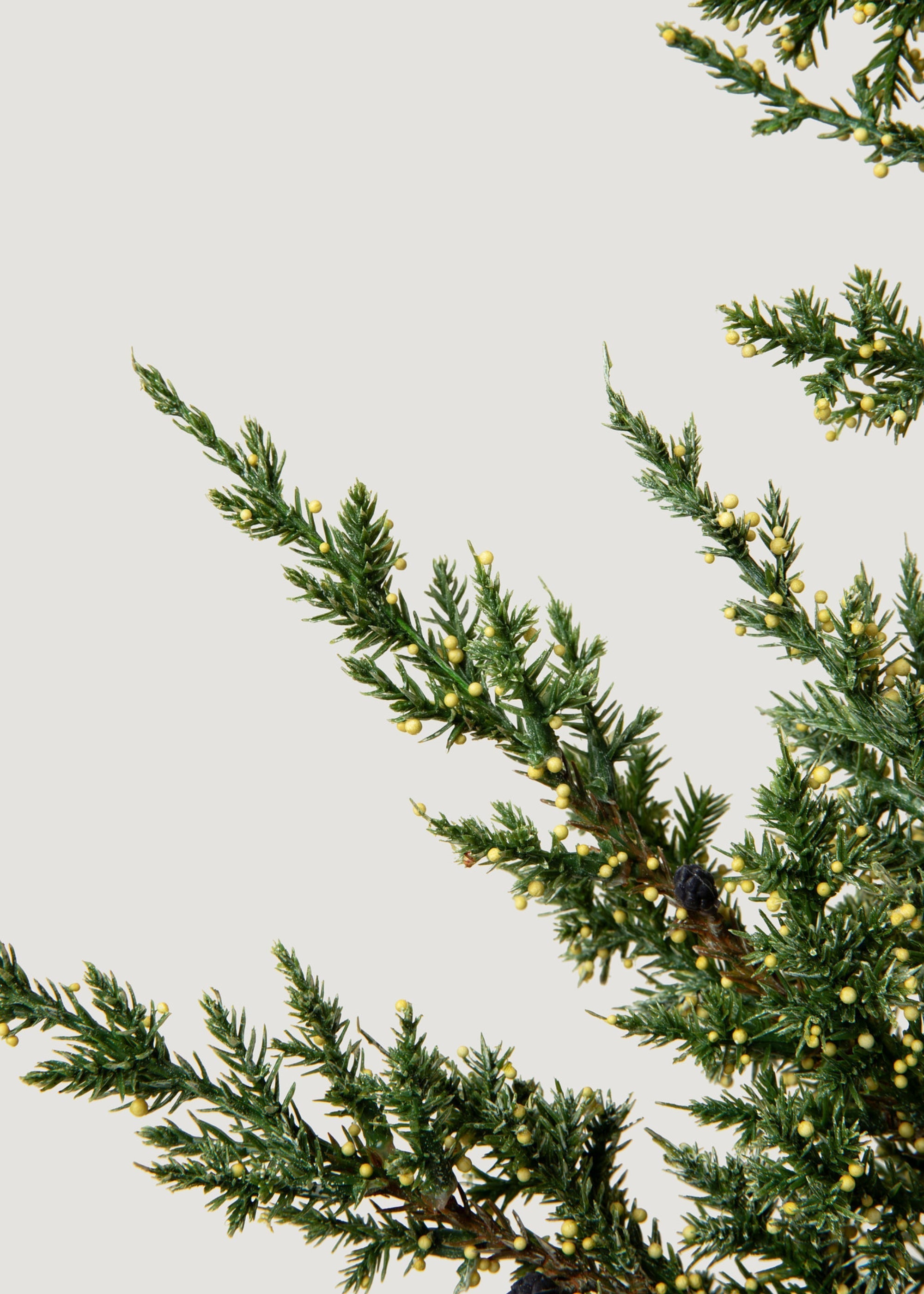 Green Artificial Pine Branch for Wedding Decor