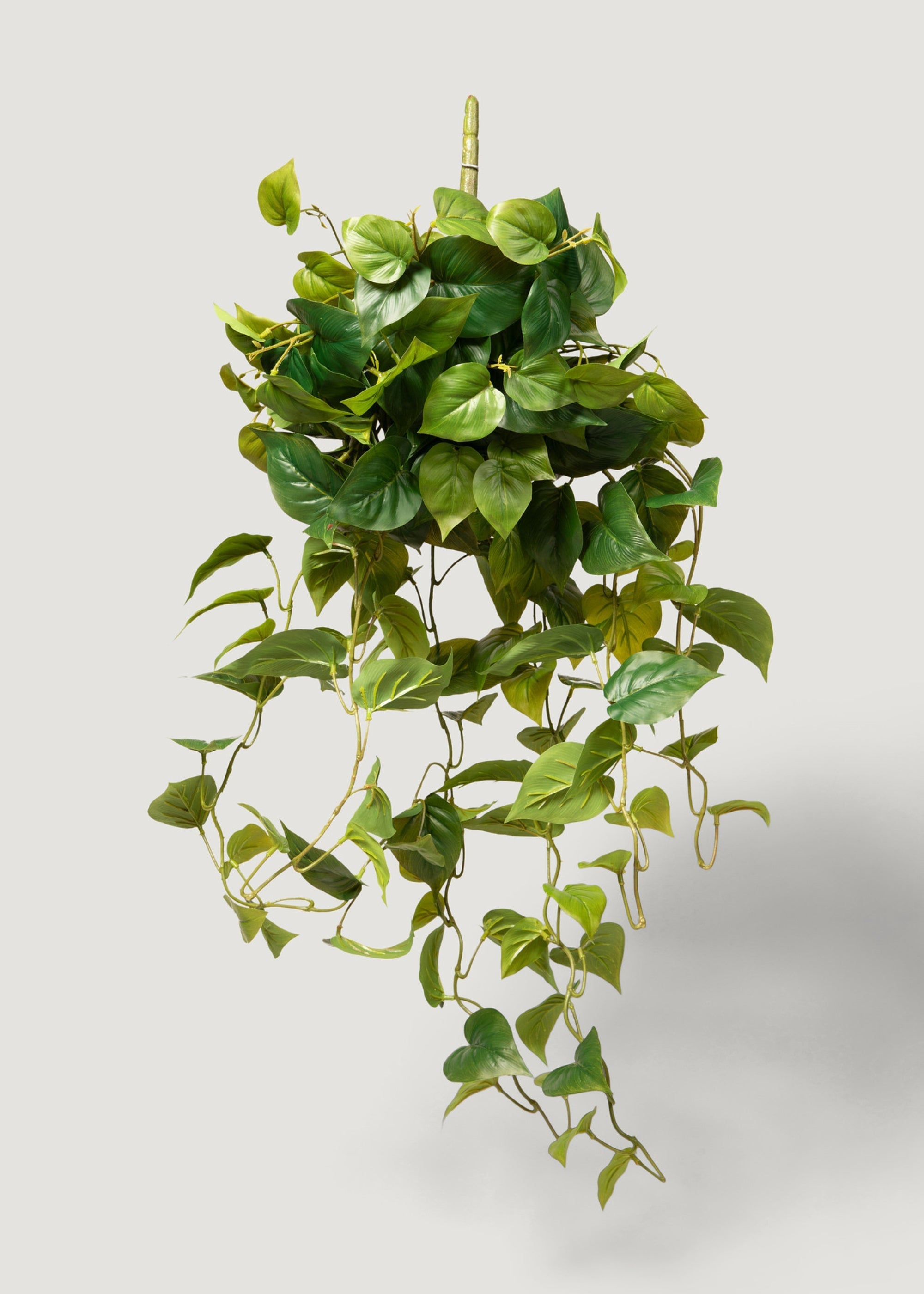 Green Artificial Real Touch Philodendron Hanging for Wedding Decor