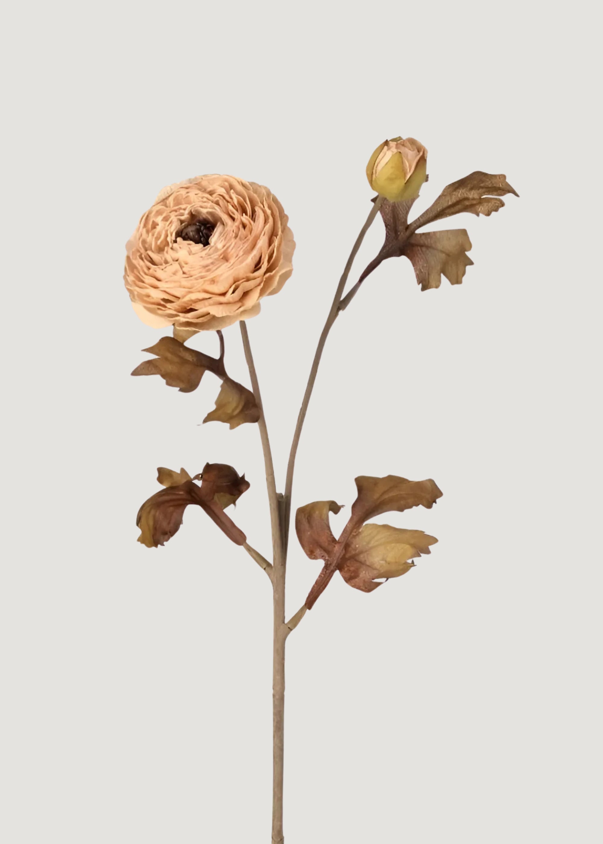 Beige Artificial Ranunculus Stem for Vase Styling