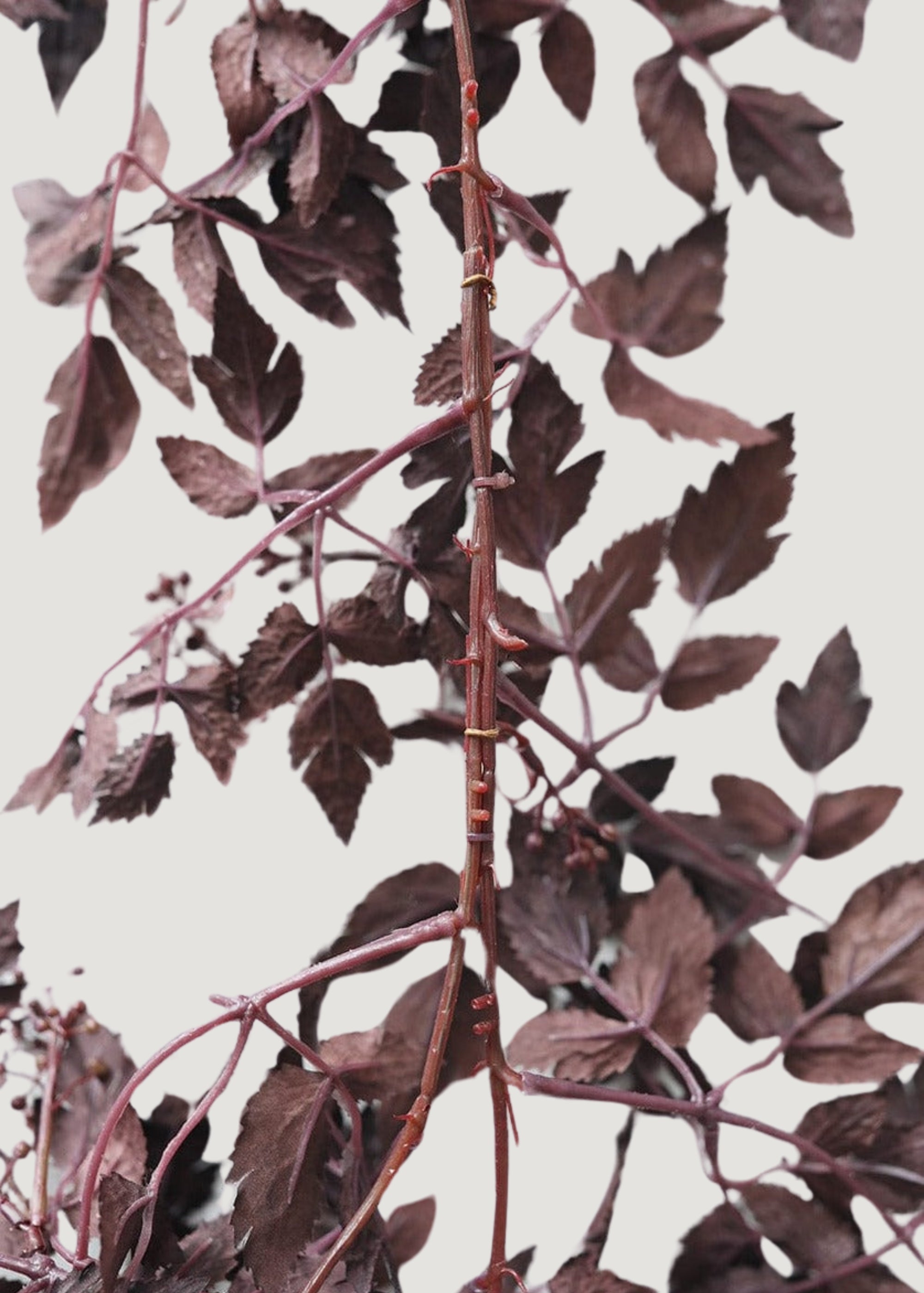 Plum Artificial Cimicifuga Seeded Garland 6' for Wedding Decor