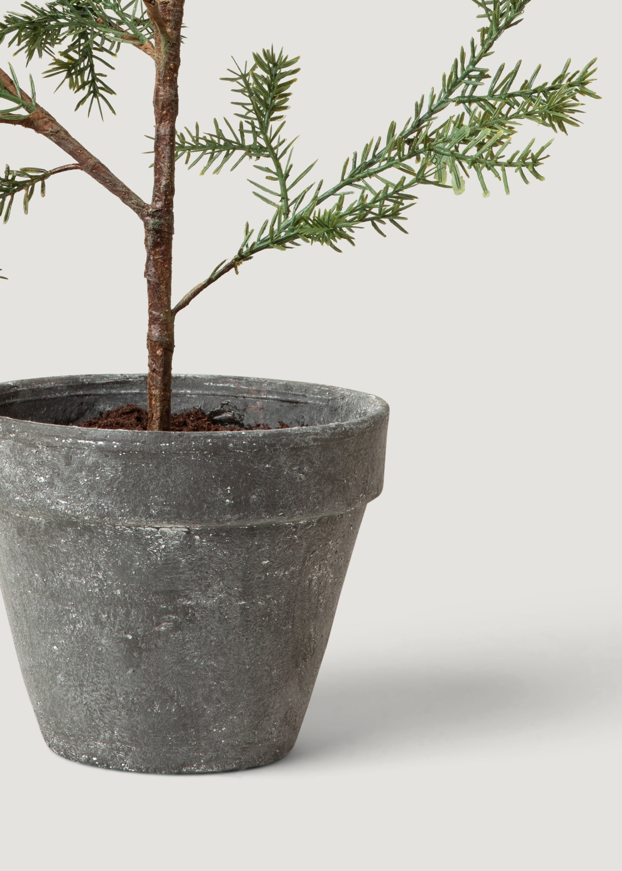 Table Top Pine Tree for Entryway Arrangement