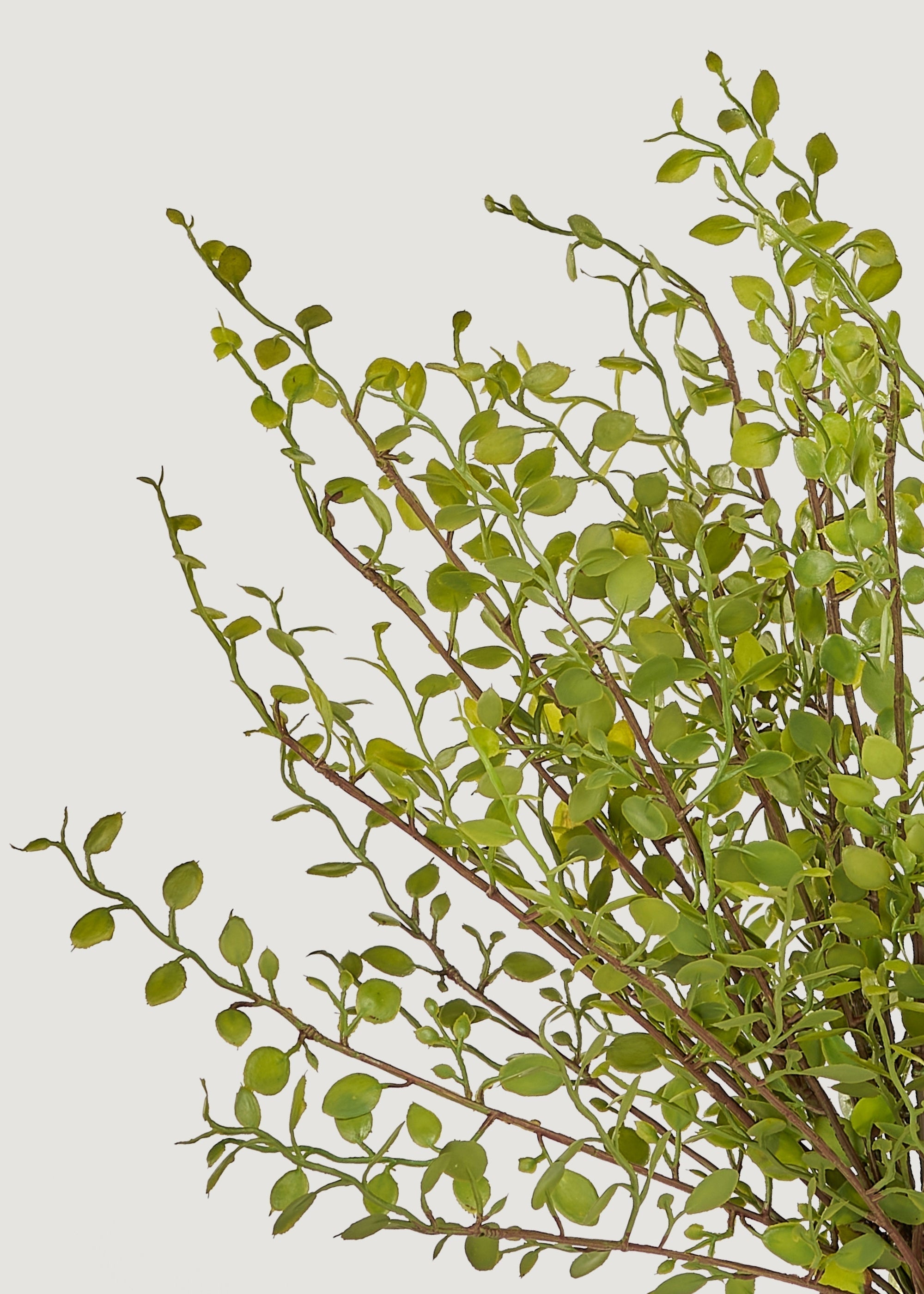 Green Artificial Maidenhair Creeping Vine Bush for Home Decor
