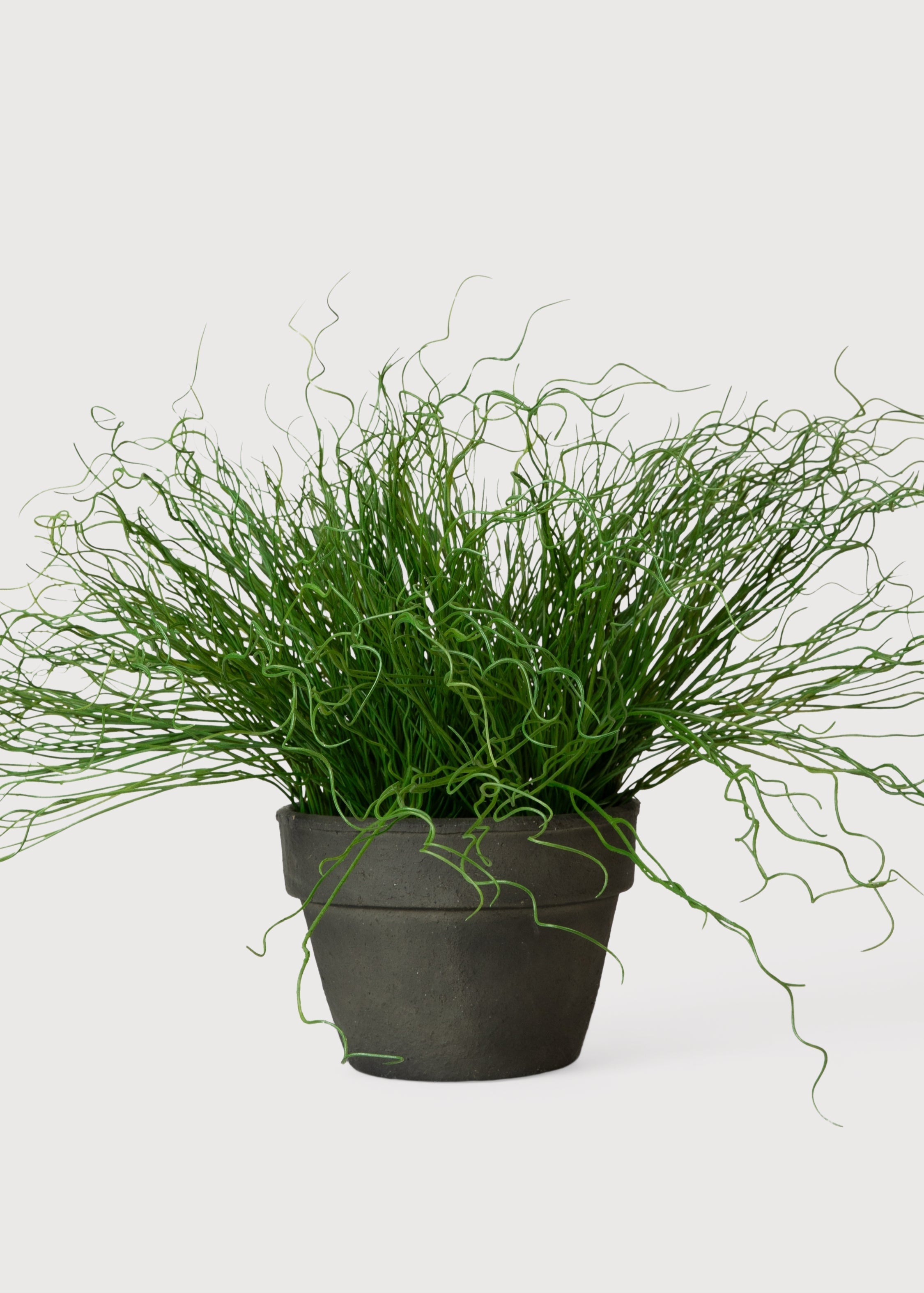 Green Artificial Cactus Potted Plant for Wedding Decor