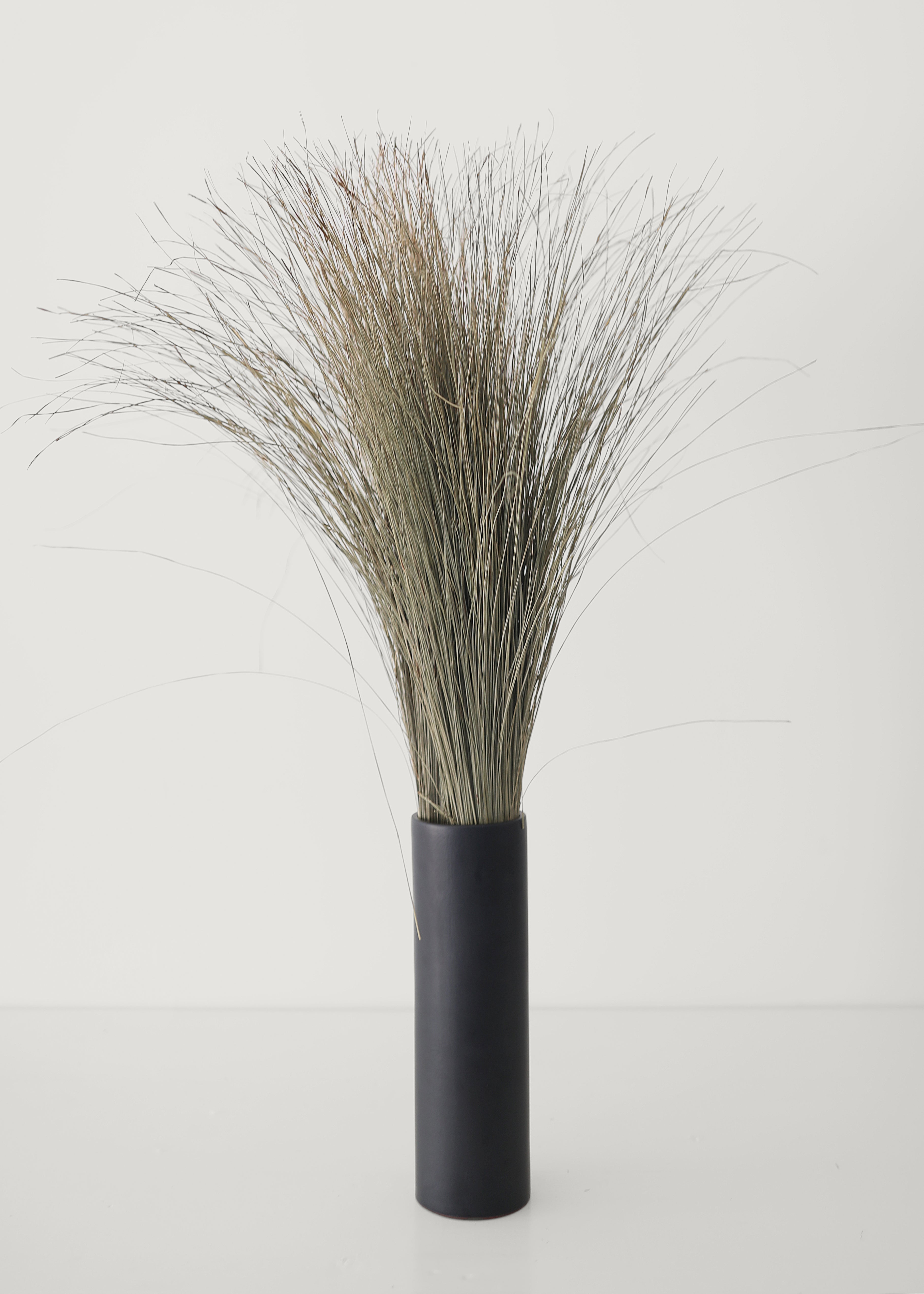Green Dried Grass Stems for Home Decor