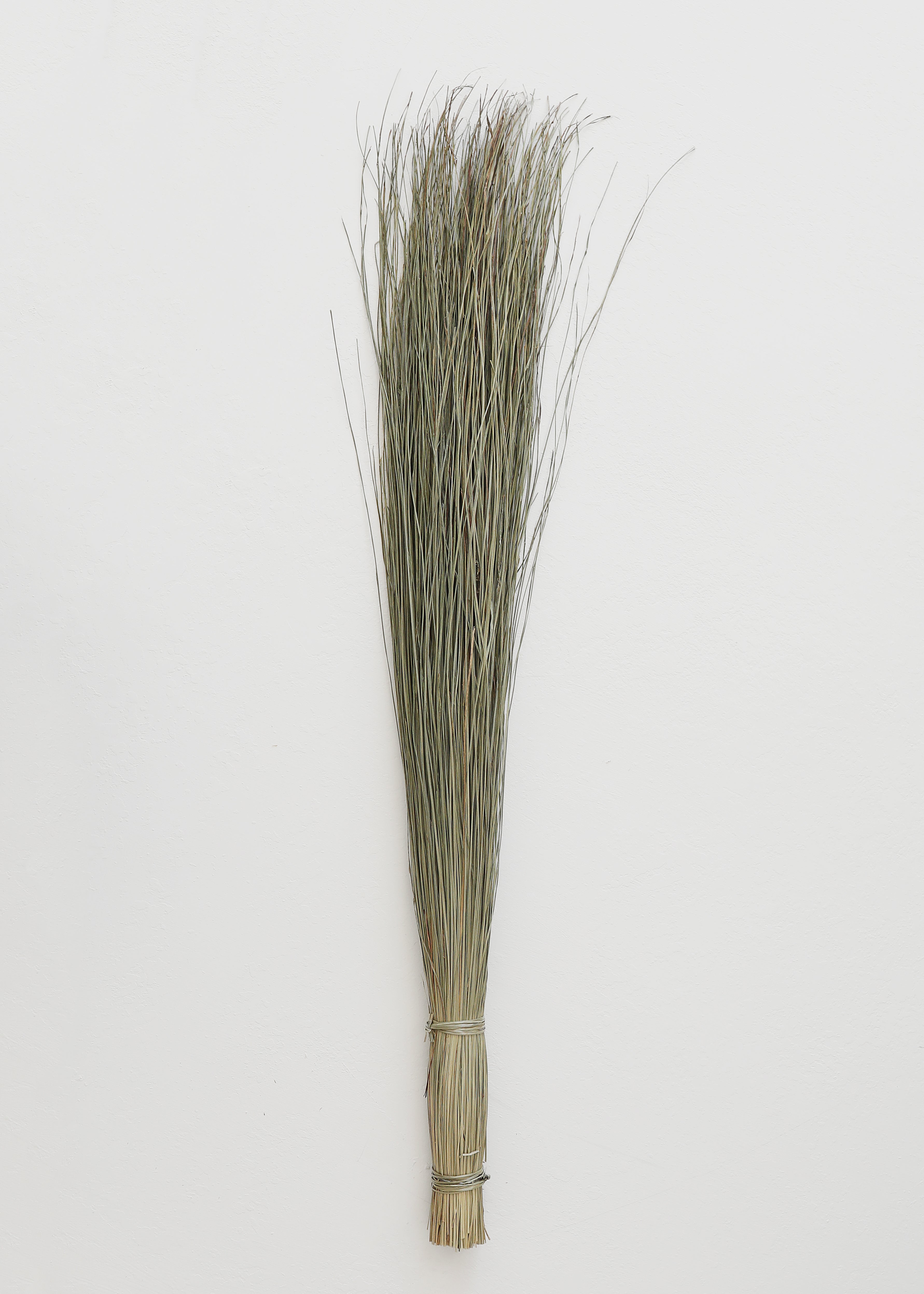 Green Dried Grass Stems for Wedding Decor