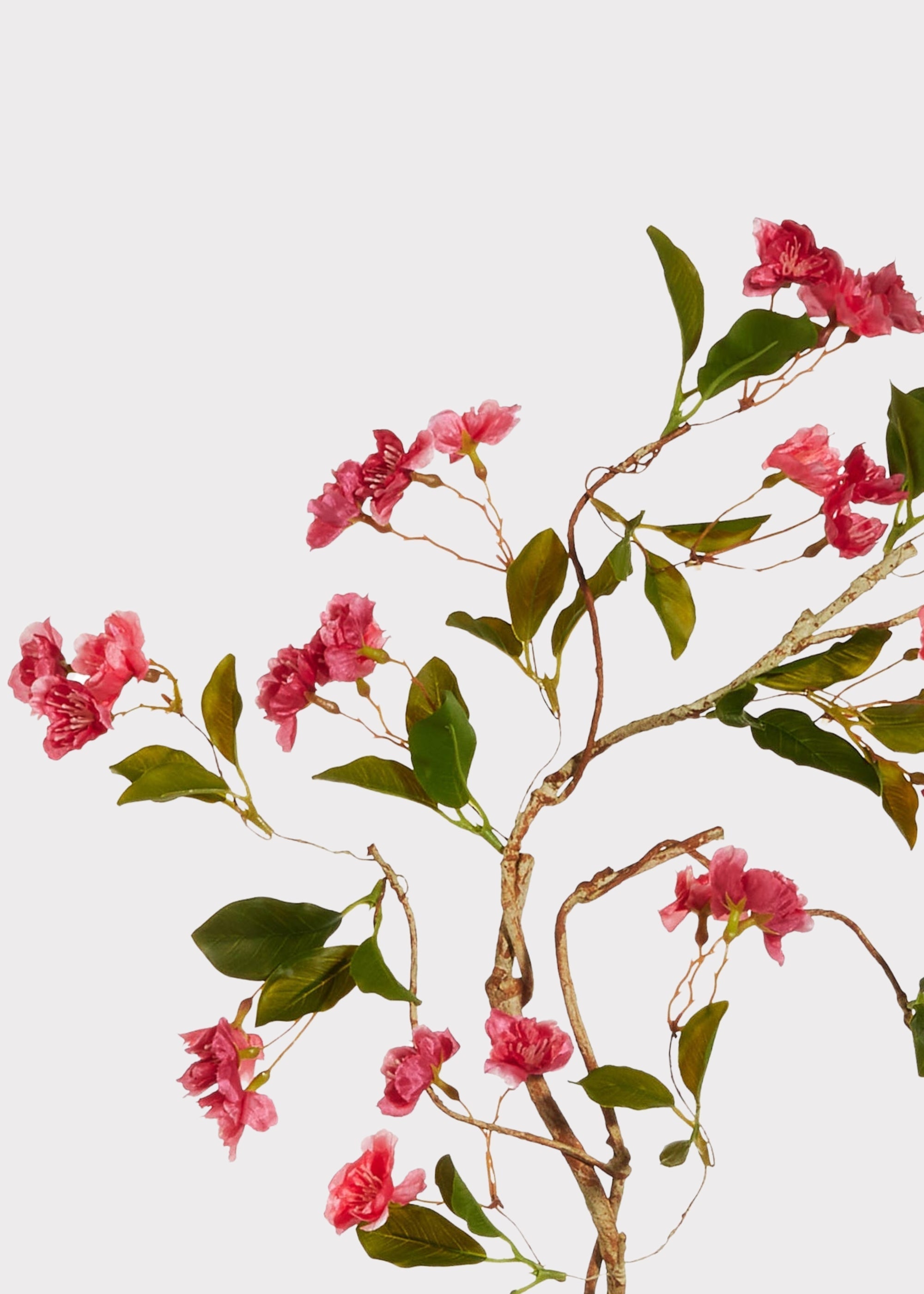 Pink blooming branch for tall vase arrangement