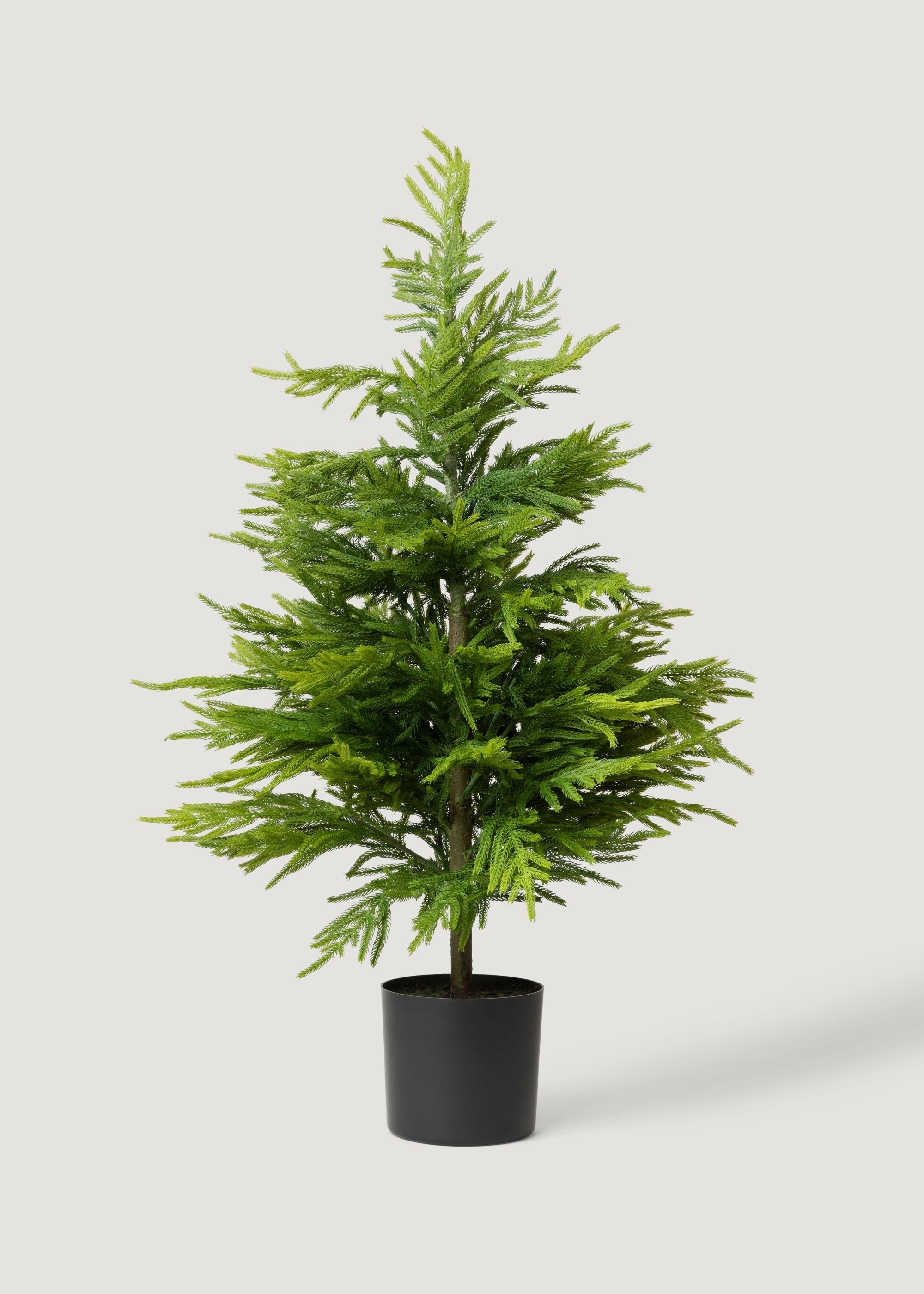 Potted artificial Norfolk pine tree for seasonal home decor